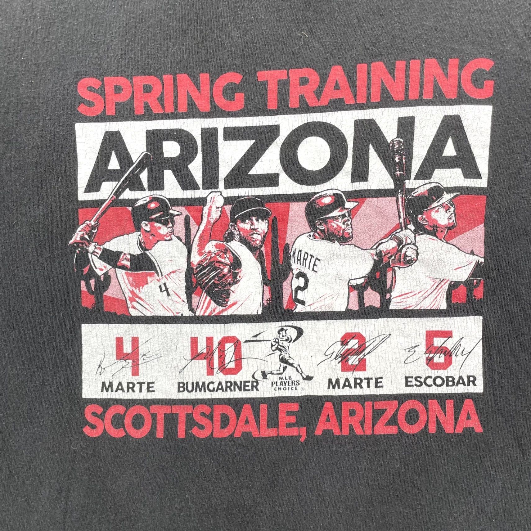 Delta Delta T-Shirt Scottsdale Arizona Sportswear 2XL 90s Baseball MLB Spring Training Size US XXL / EU 58 / 5 - 2 Thumbnail