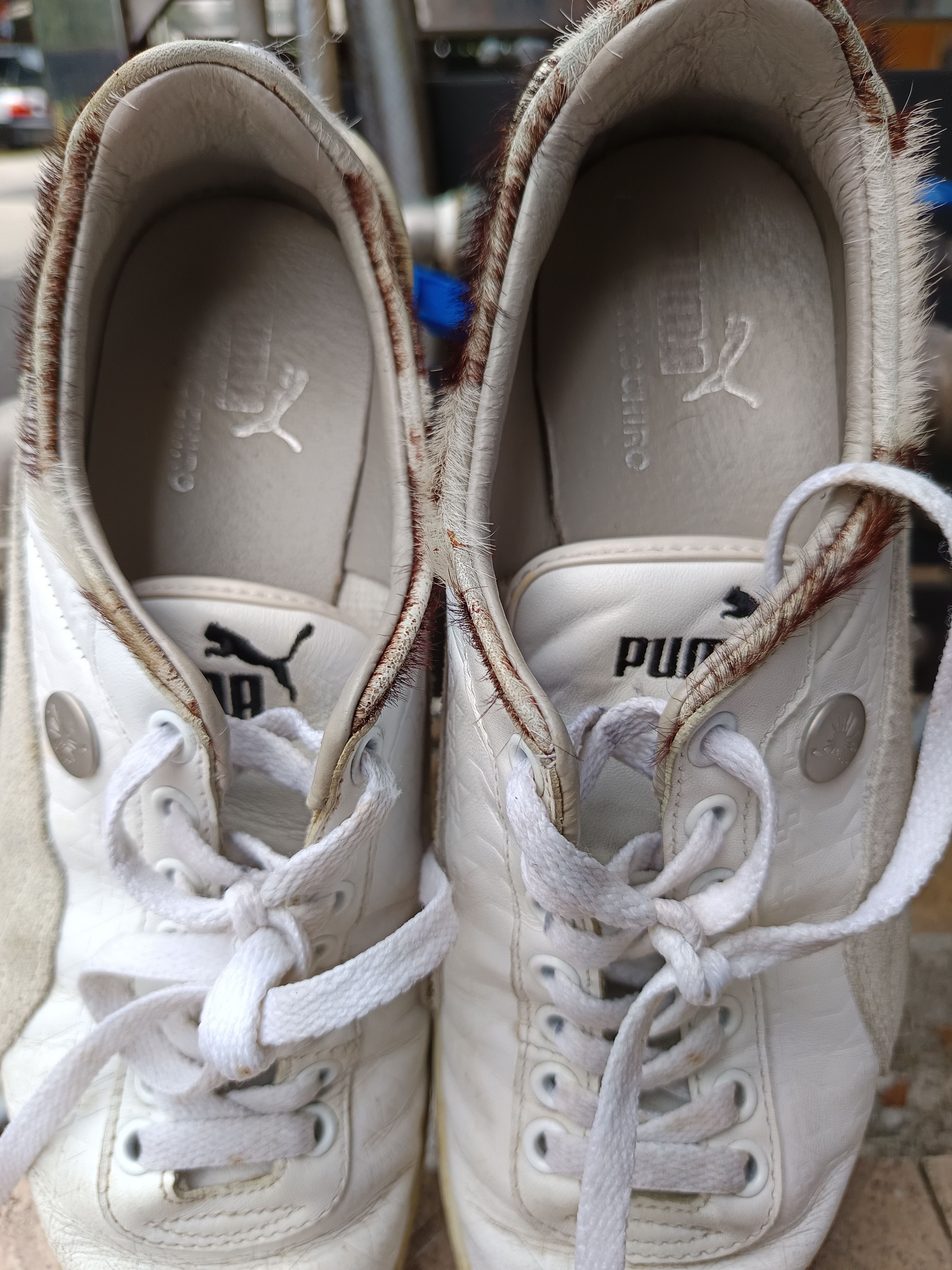Maison MIHARA YASUHIRO × Puma Puma x miharayasuhiro Size US 8 / EU 41 - 5 Thumbnail