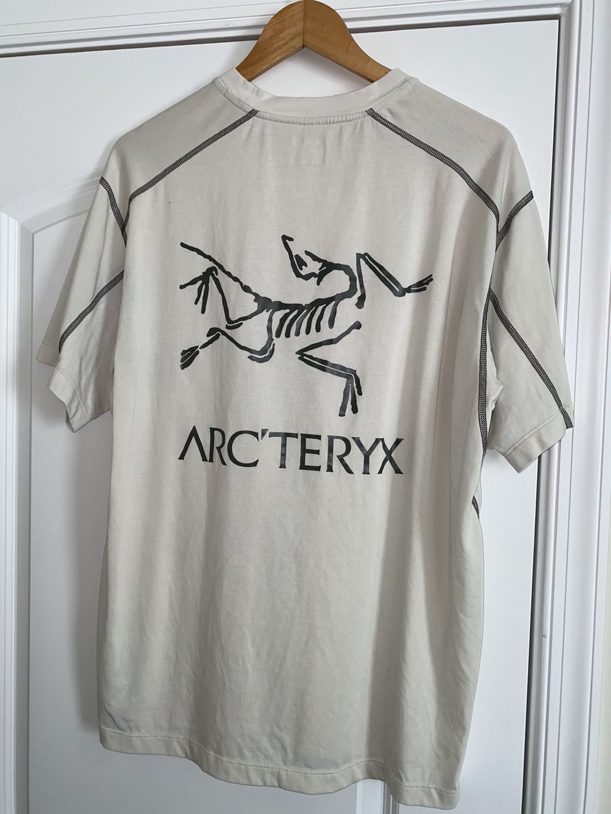 Arc'teryx Arc'teryx System_A Copal Bird Tee | Grailed