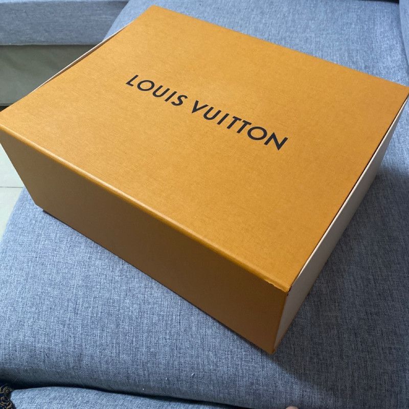 Louis Vuitton Louis Vuitton Trainer Fashion Sneakers for Men -2508 Size US 7.5 / EU 40-41 - 7 Thumbnail