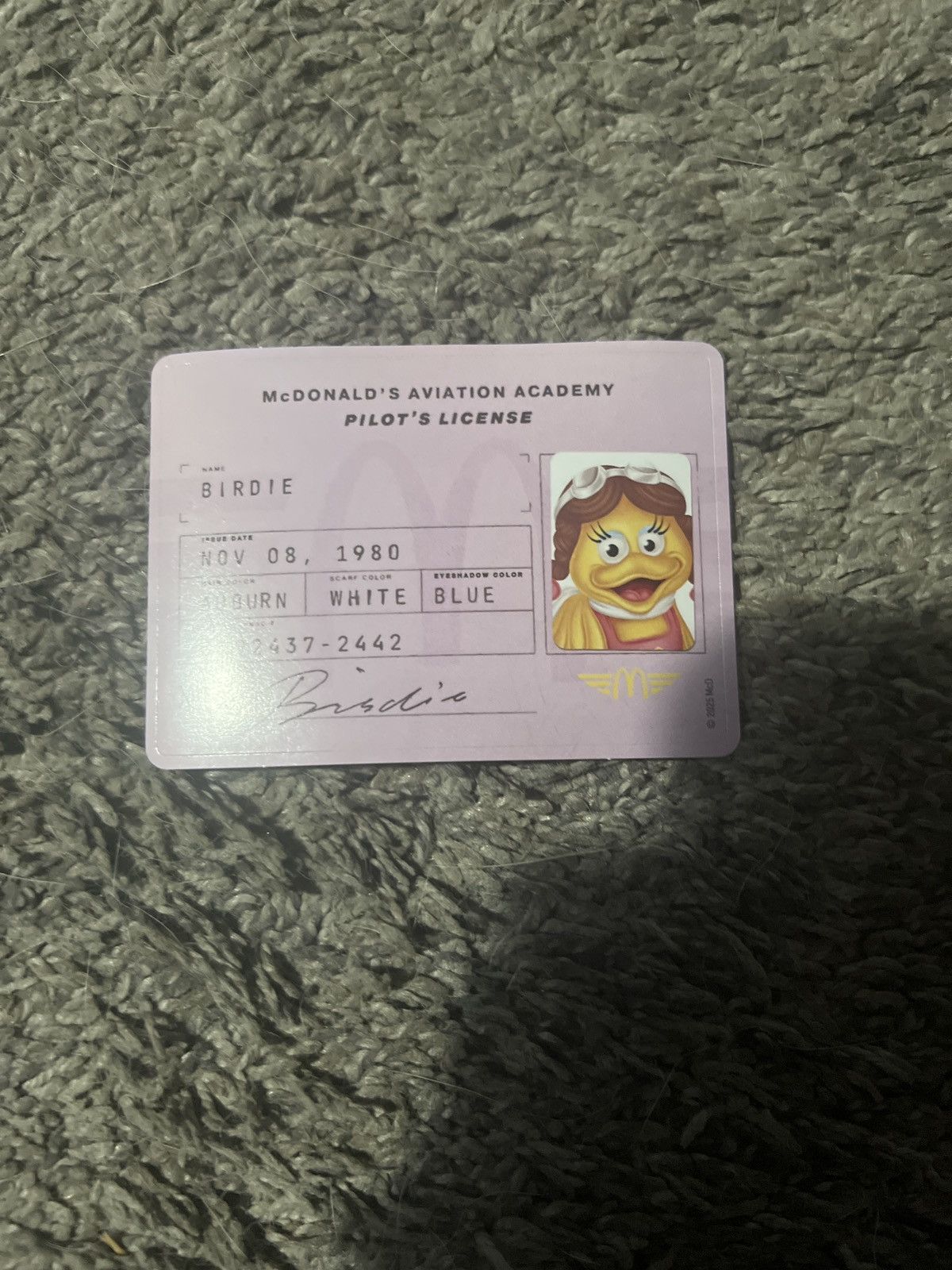 Hypebeast 2025 McDonald’s Birdie Pilot’s License Sticker Size ONE SIZE - 1 Thumbnail