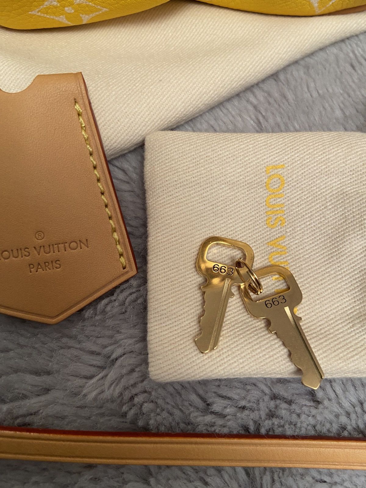 Louis Vuitton × Pharrell LOUIS VUITTON SS24 SOFT SPEEDY P9 BANDOULIÈRE 25 IN Yellow Size ONE SIZE - 14 Thumbnail