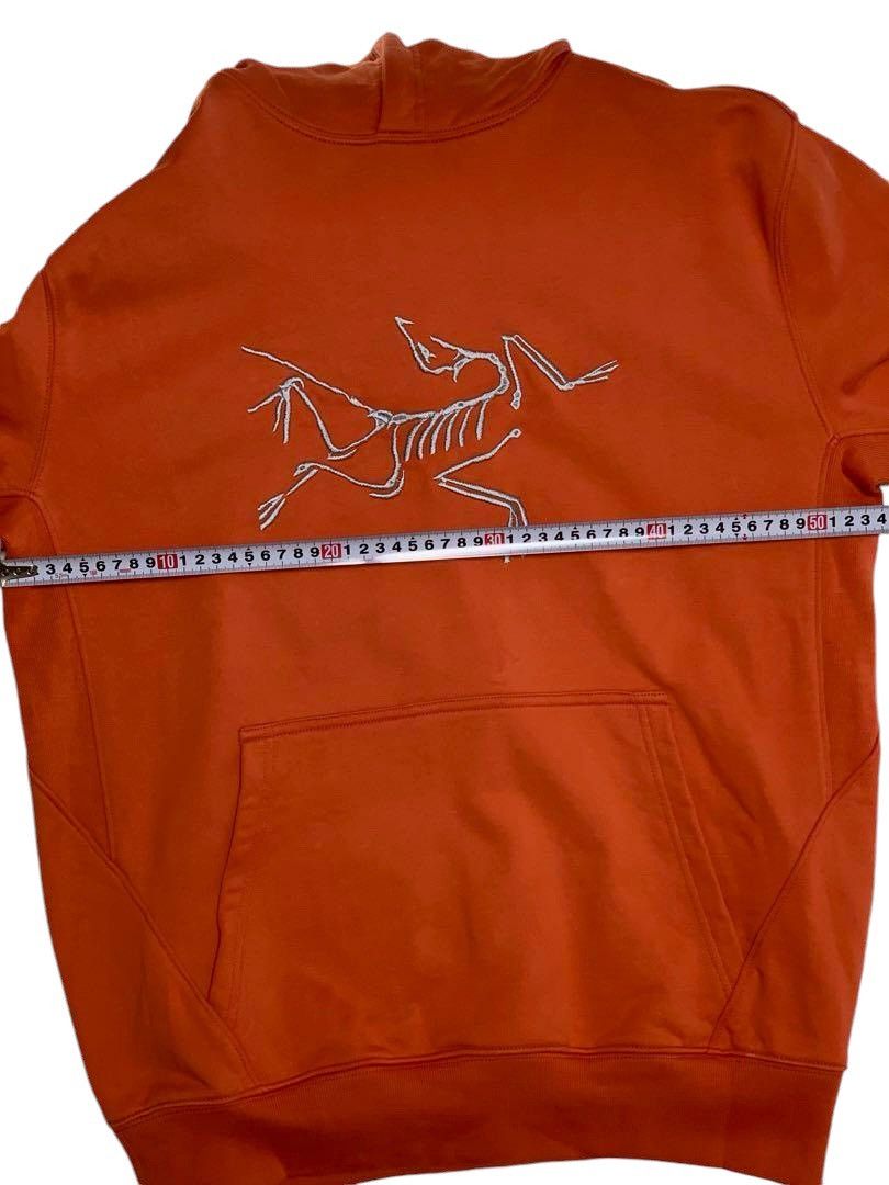 Arc'teryx × Palace Arcteryx x Palace Hoodie Size US M / EU 48-50 / 2 - 10 Thumbnail