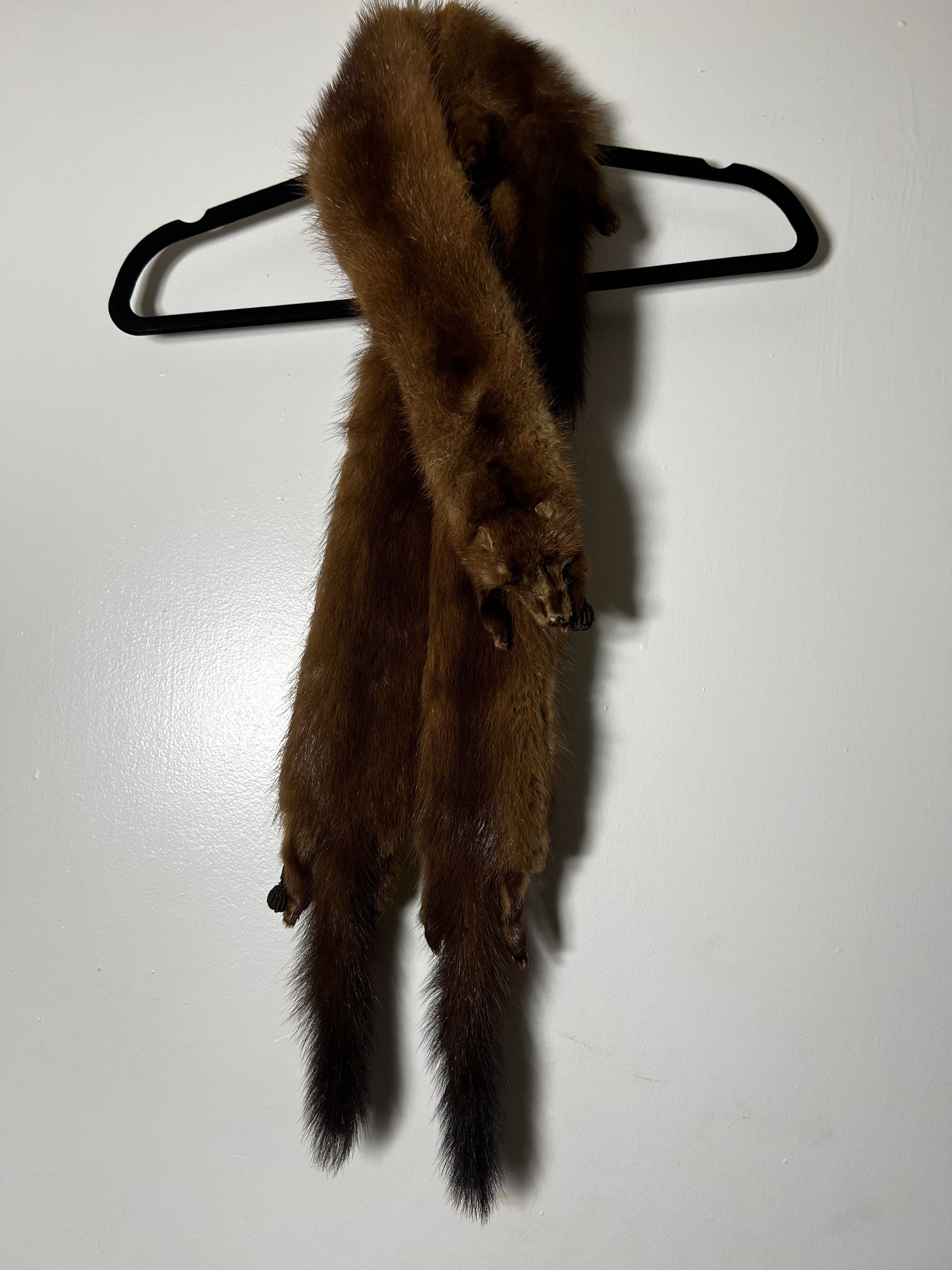 Other × Vintage Vintage 40's-50's Fur Taxidermy Pelt Collar - Mink Stole Size ONE SIZE - 1 Thumbnail