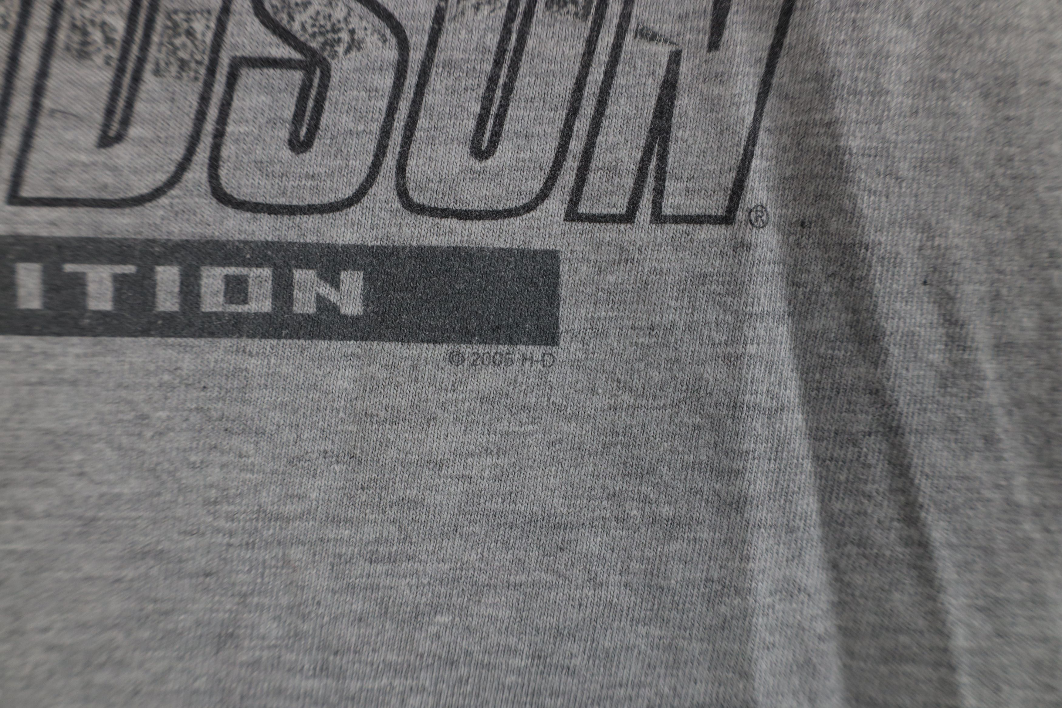 Harley Davidson Vintage Y2K 2005 Harley Davidson Fire Flames T-Shirt Gray Size US L / EU 52-54 / 3 - 8 Thumbnail