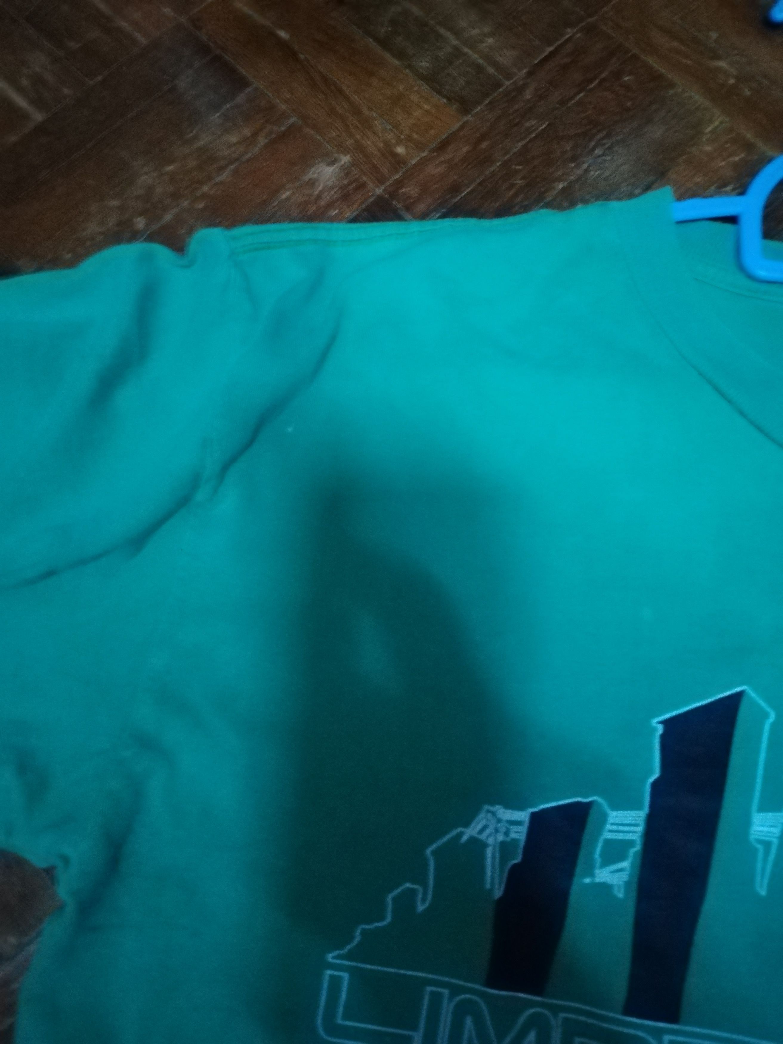 Giant Limp Bizkit Shirt Green Rare Size US L / EU 52-54 / 3 - 9 Thumbnail