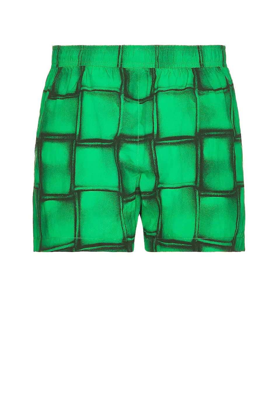 Bottega Veneta o1bcso1str0226 Swim Shorts in Green/Black Size US 28 / EU 44 - 3 Thumbnail