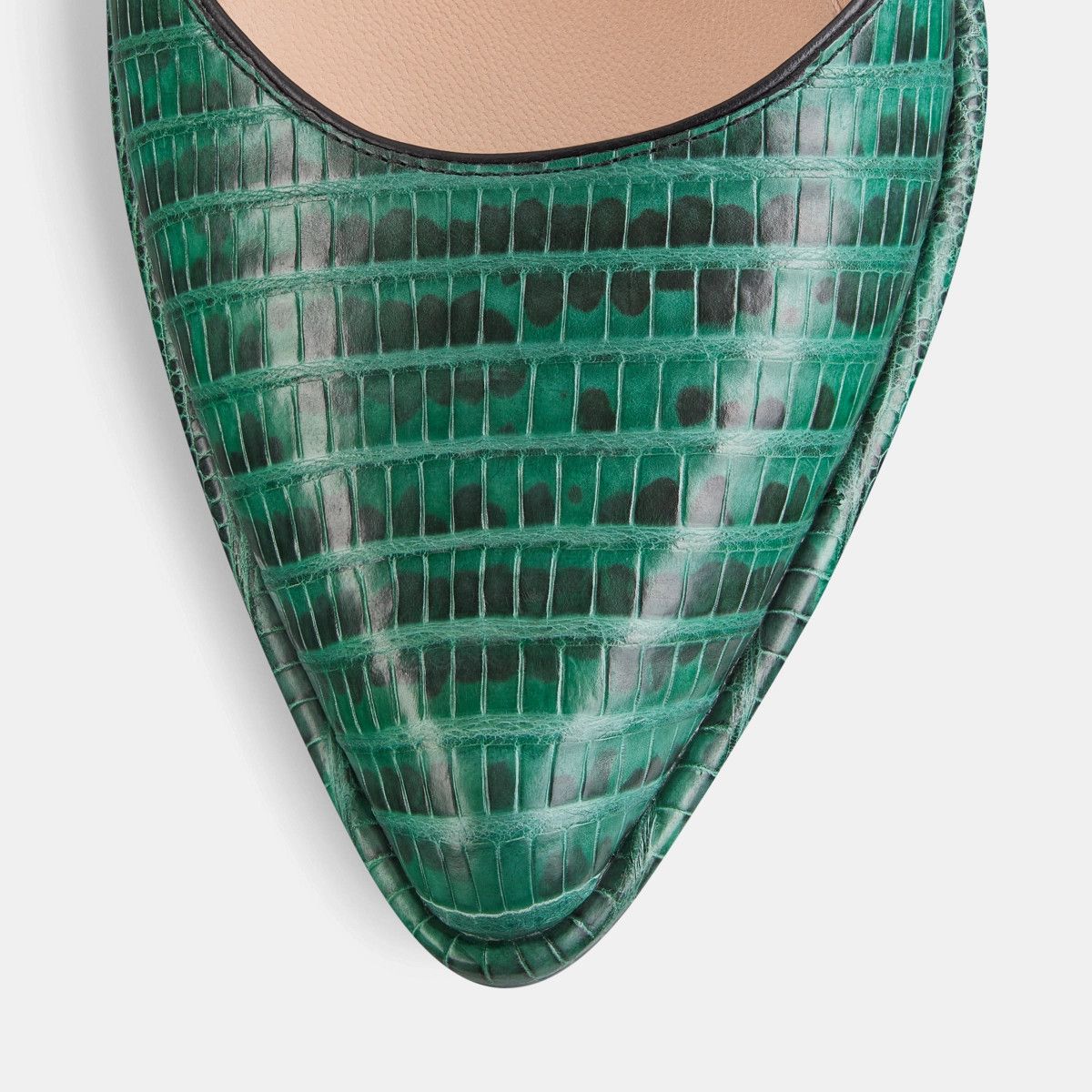 Dior o1bcso1str1224 Pump in Tejus Print Size US 9 / IT 39 - 6 Thumbnail