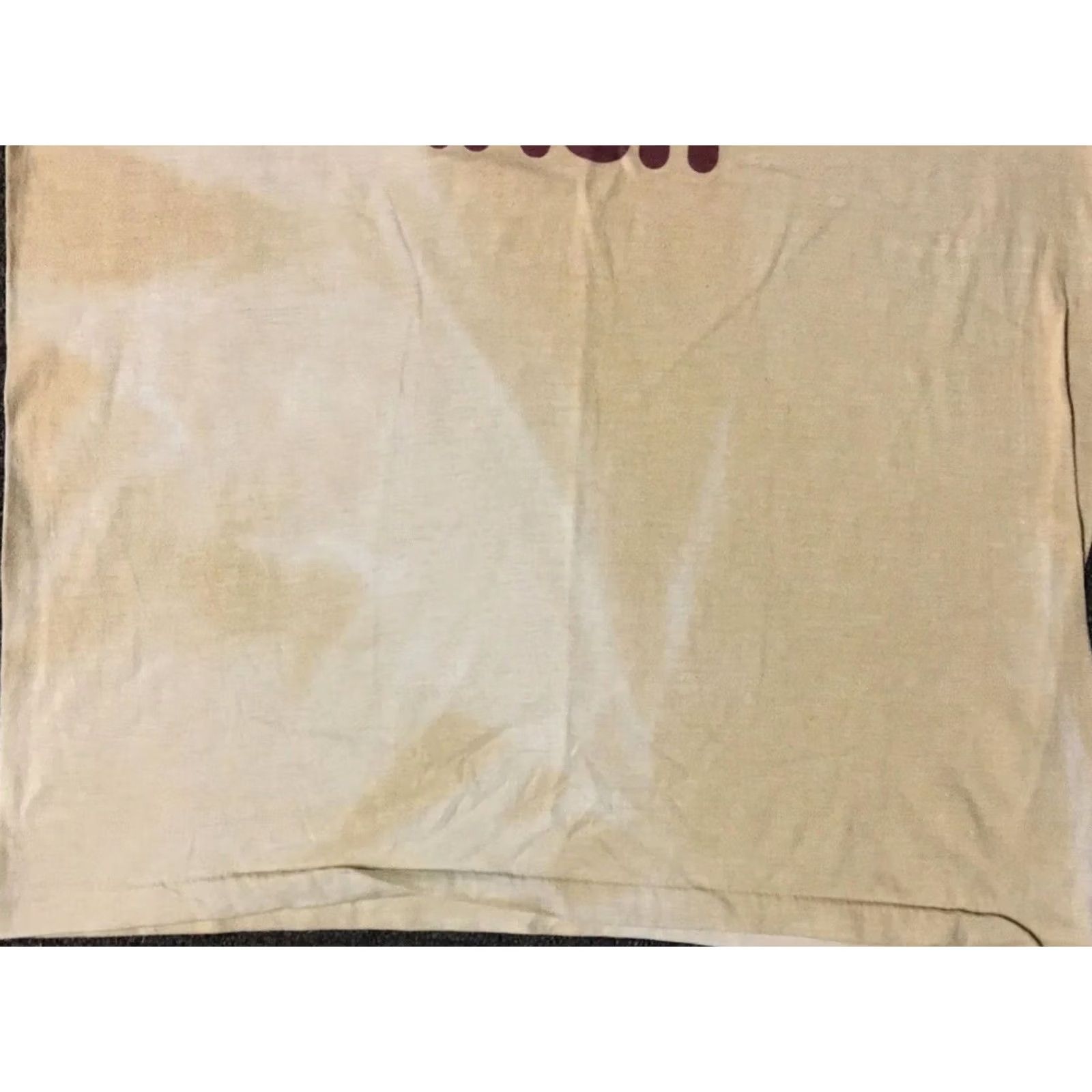 Vintage VINTAGE AACN Critical Care Nursing Phoenix Chapter Shirt M Beige 80s 90s Grunge Distressed Single Stitch Mens Shirt Size US M / EU 48-50 / 2 - 6 Thumbnail