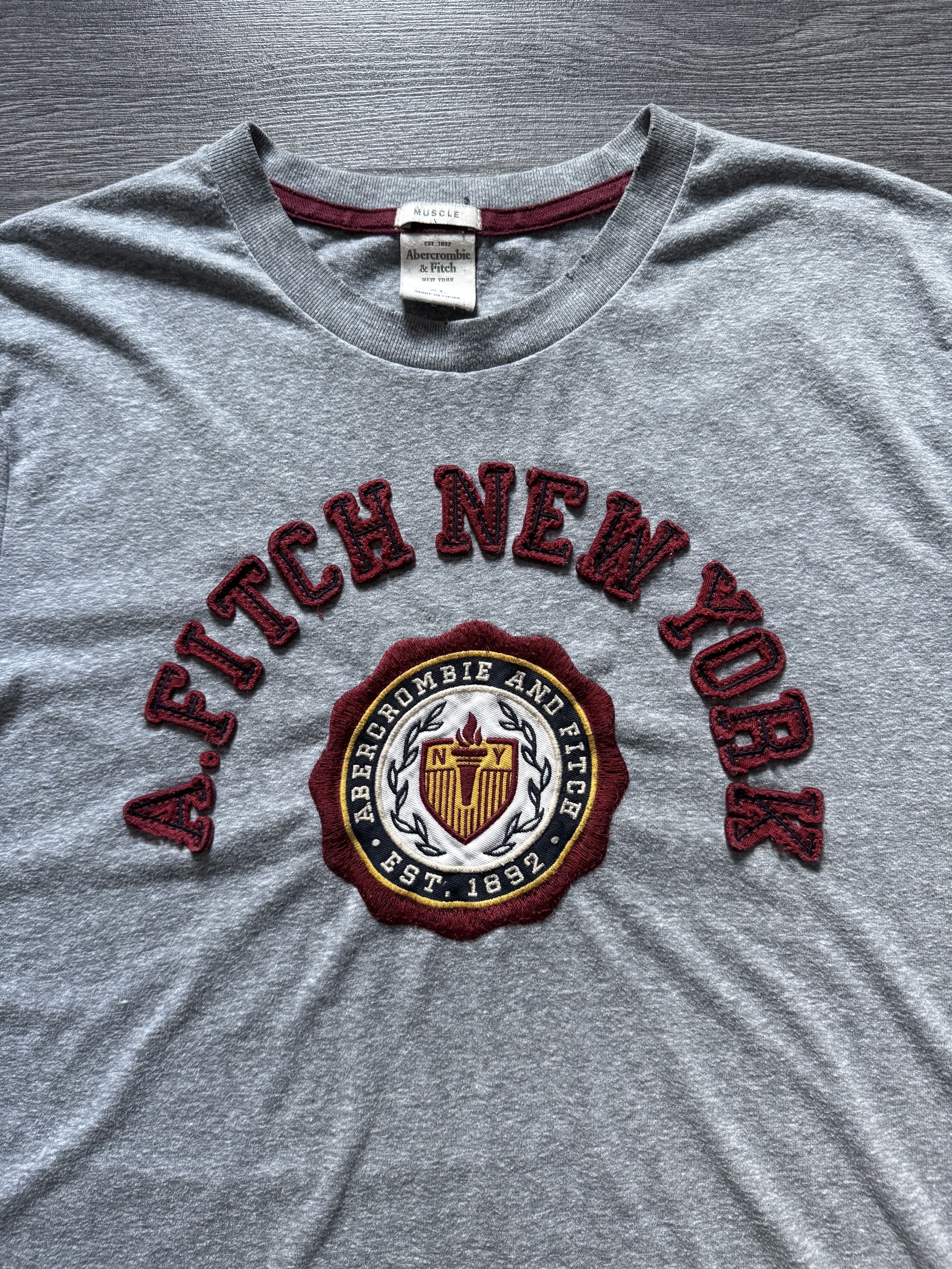 Abercrombie & Fitch Y2K Abercrombie & Fitch Muscle Distressed tee Size US XL / EU 56 / 4 - 4 Thumbnail