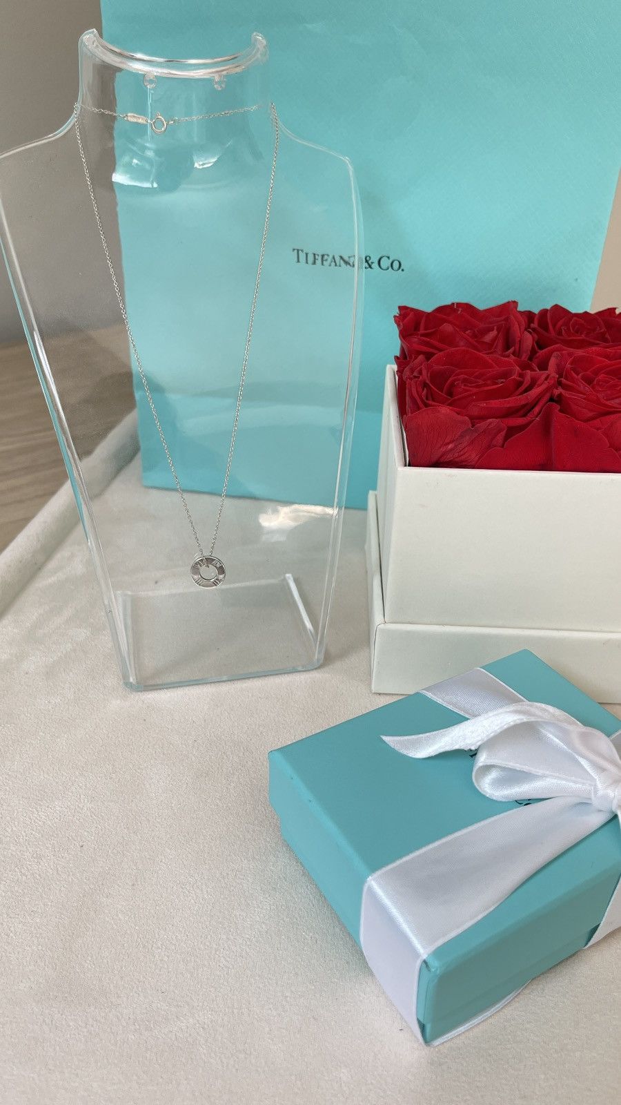 Tiffany & Co. Tiffany & Co. Atlas Circle Pendant Silver 16” inch NEW Size ONE SIZE - 5 Thumbnail