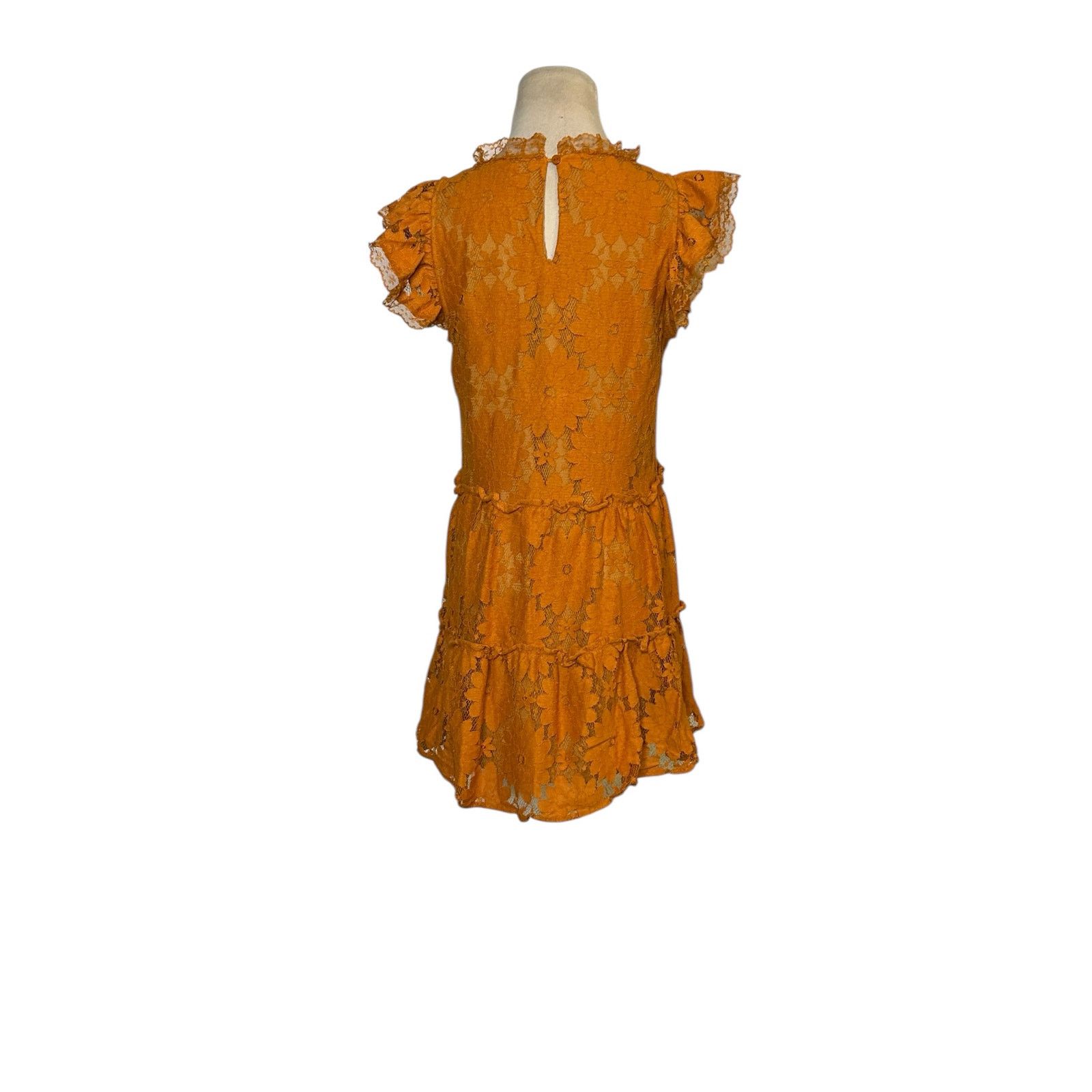 Anthropologie Blue Tassel gold floral lace tiered tunic mini dress size XS Size XS / US 0-2 / IT 36-38 - 10 Thumbnail