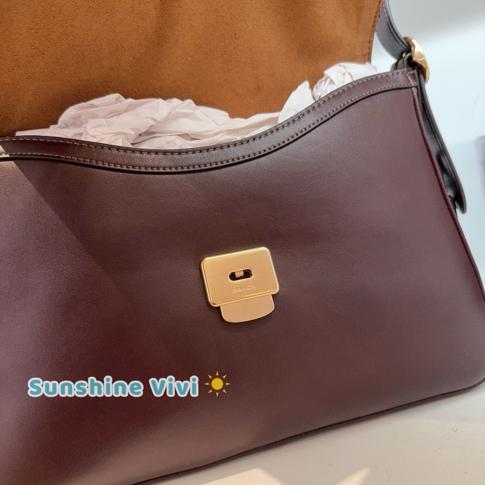 Coach NWT Coach Etta flap bag Leather CCE57 Gold/Espresso Size ONE SIZE - 6 Thumbnail
