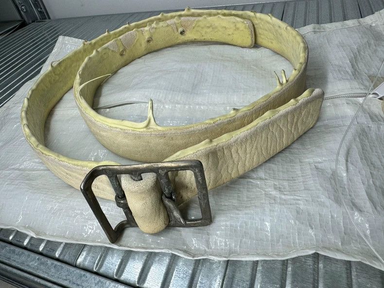 Carol Christian Poell Carol Christian Poell pantograph belt NEW