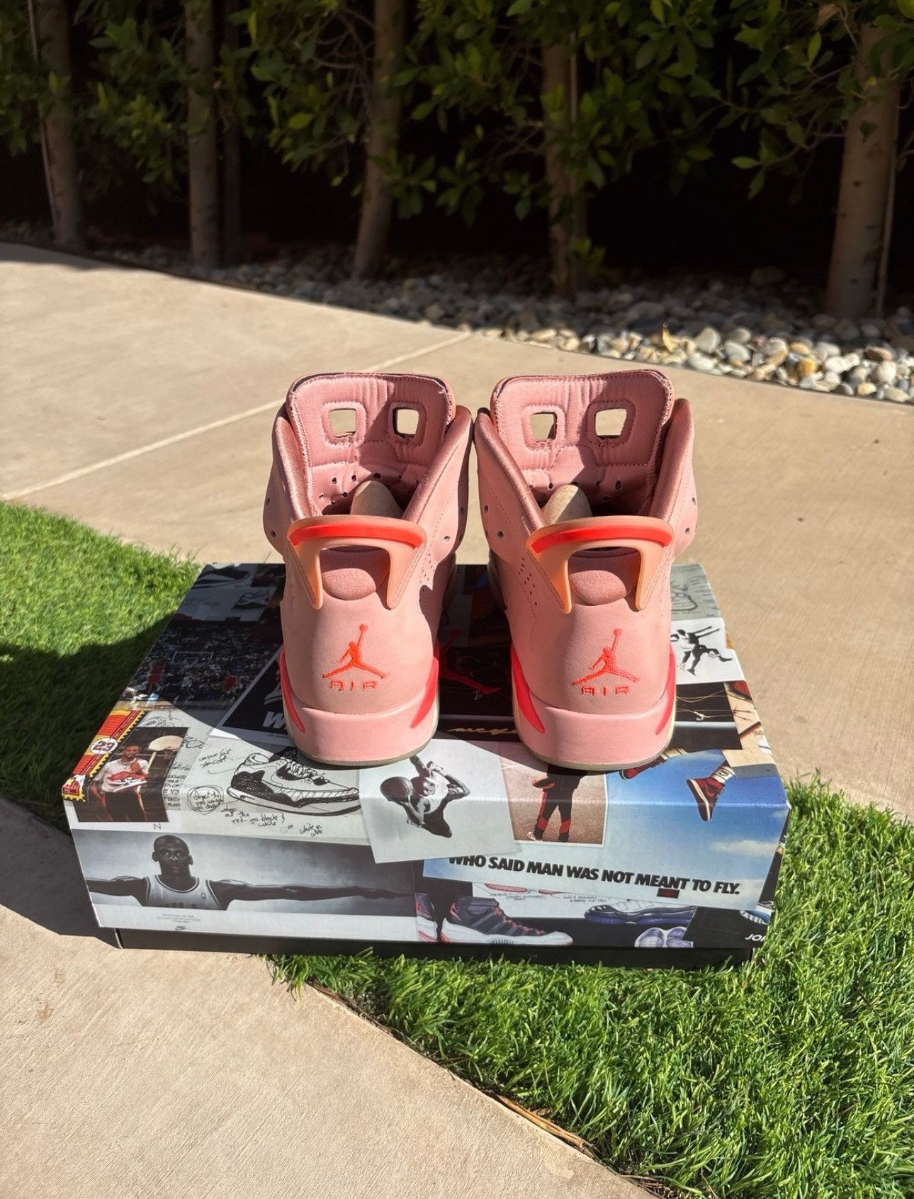 Jordan Brand Jordan 6 Retro “Aleali May” 2019 Size US 8.5 / EU 41-42 - 4 Thumbnail