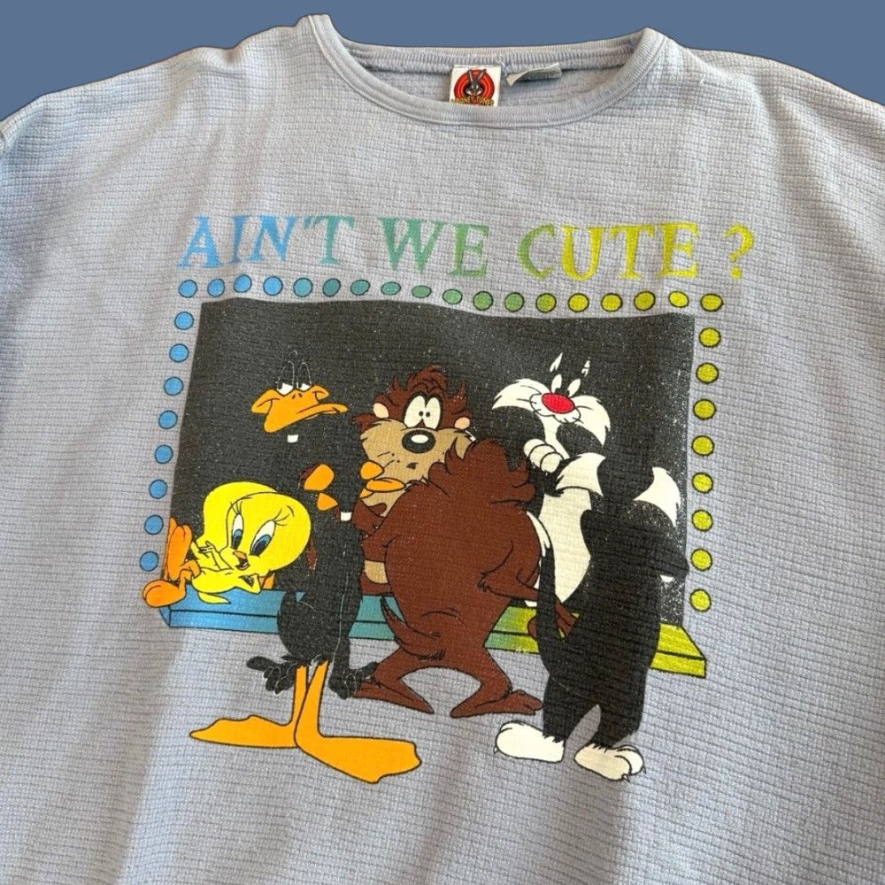 Vintage VINTAGE Looney Tunes Sweatshirt 90s Pullover Women’s XL Taz Tweety Purple Regular Size Size XL / US 12-14 / IT 48-50 - 1 Thumbnail