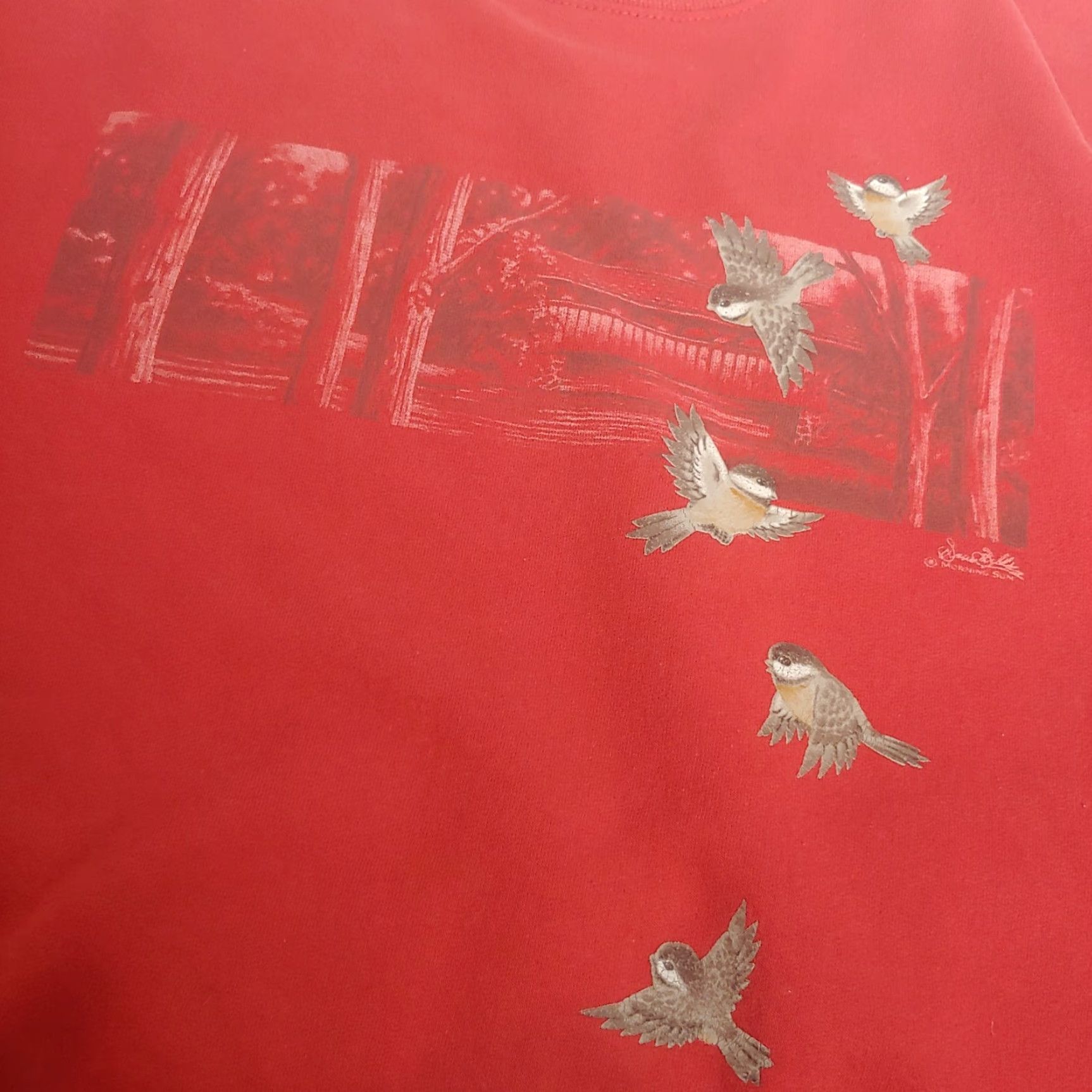 Vintage VINTAGE Morning Sun Sweatshirt Woman XL Red Bird Nature Grannycore Crew Neck Pullover Long Sleeve Cotton Blend Knit Size XL / US 12-14 / IT 48-50 - 5 Thumbnail