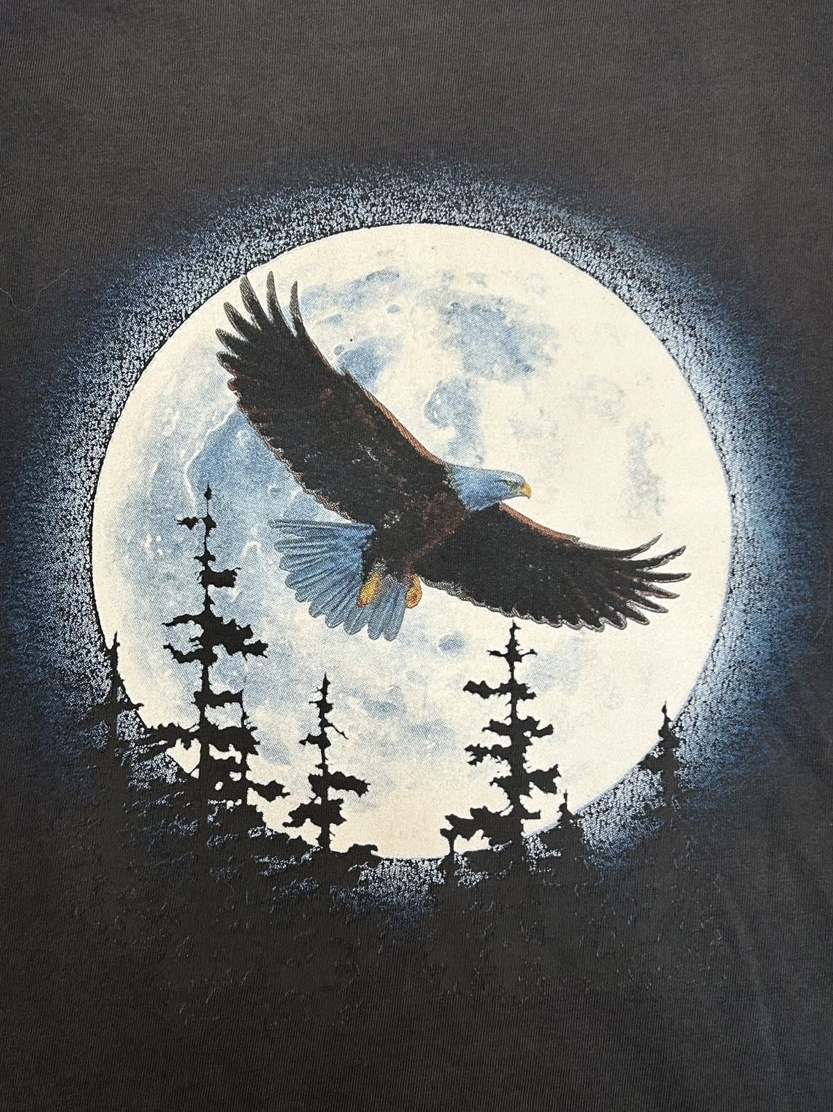 Other Y2K Bald Eagle🦅Nature Scene T-Shirt Size US L / EU 52-54 / 3 - 2 Thumbnail