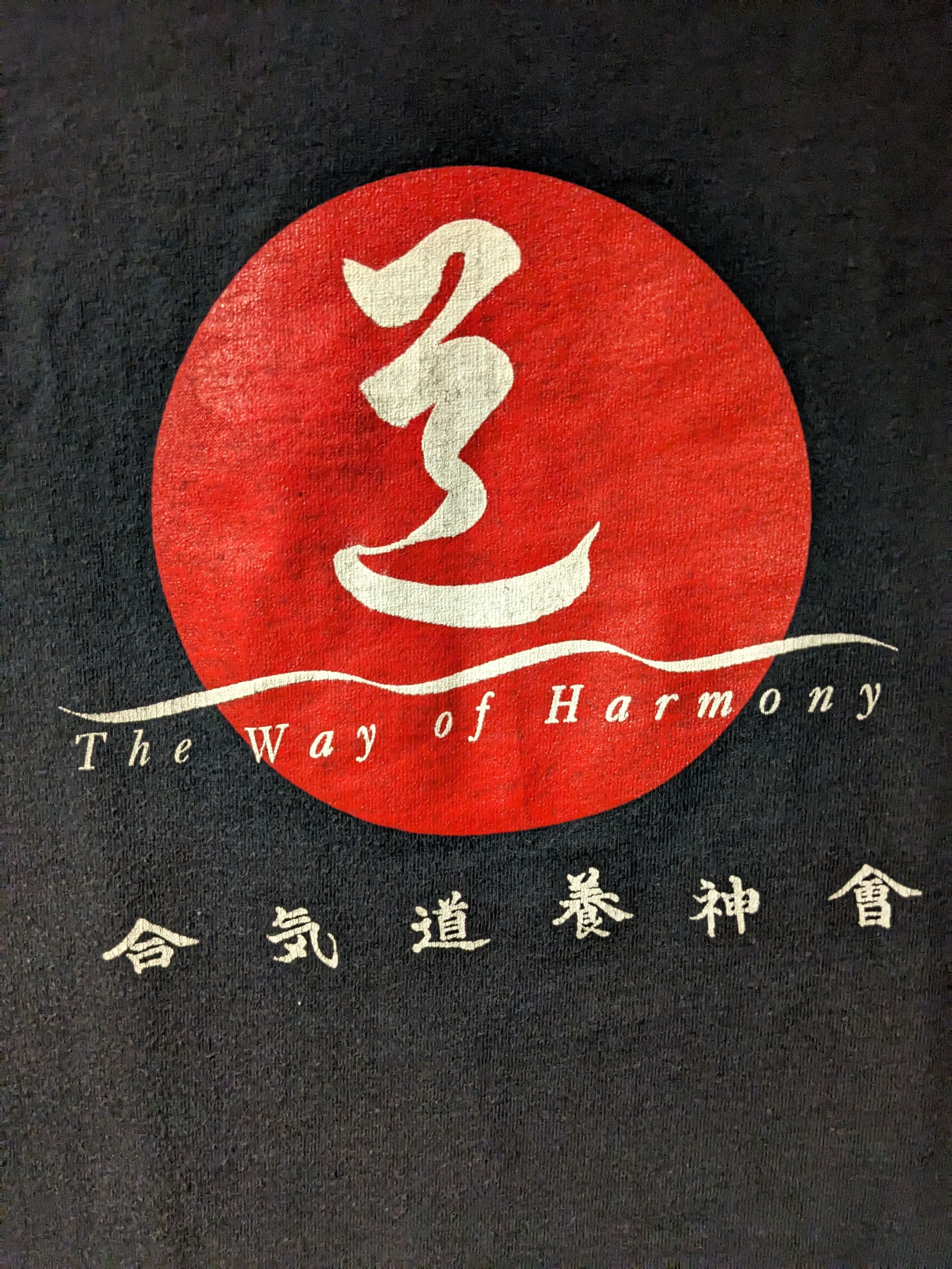 Anvil × Vintage Vintage 90s The Way of Harmony Spiritual Black Large T-Shirt Size US L / EU 52-54 / 3 - 2 Thumbnail