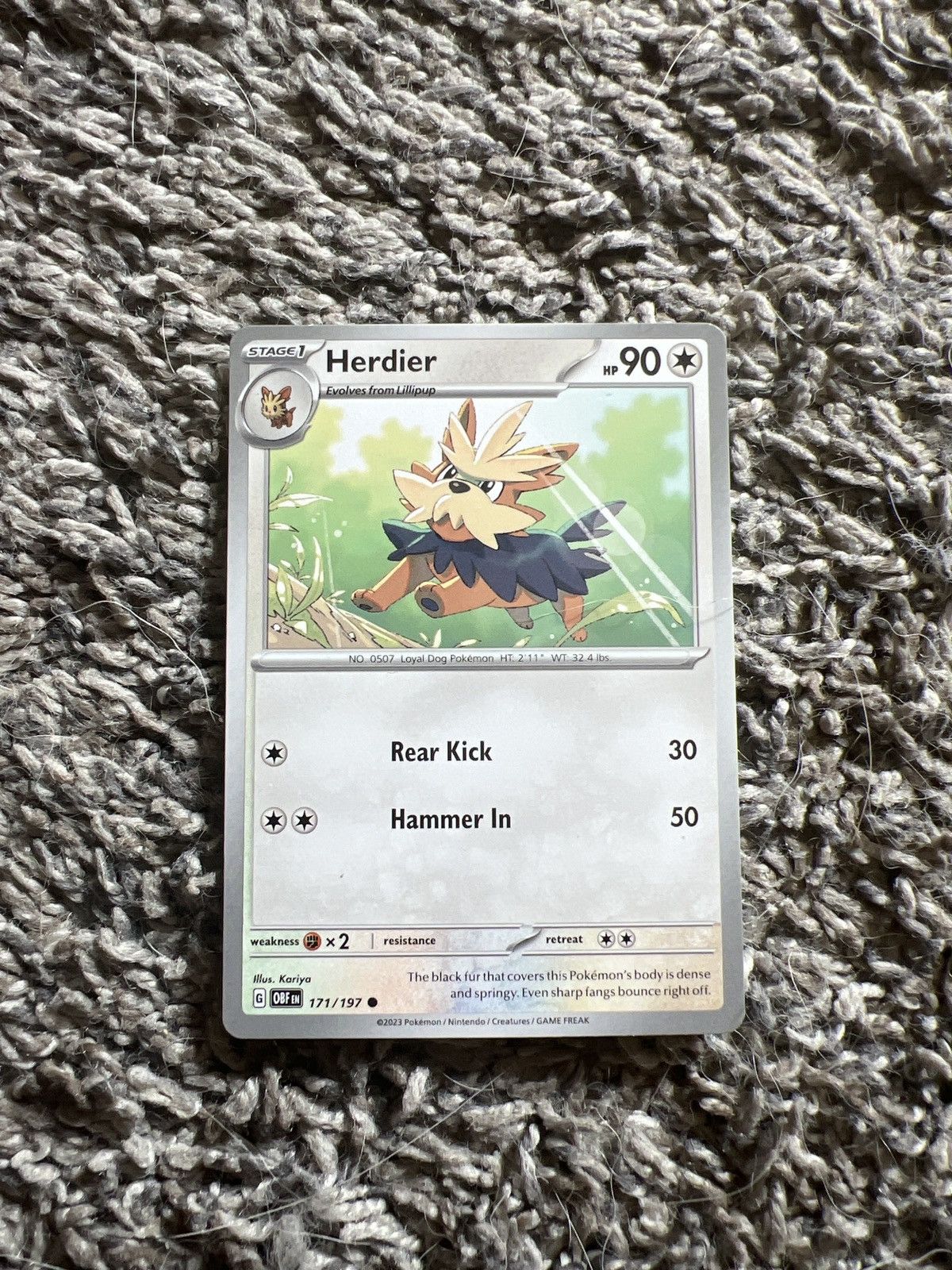 Pokemon 2023 Pokémon Herdier Stage 1 Card Size ONE SIZE - 1 Thumbnail