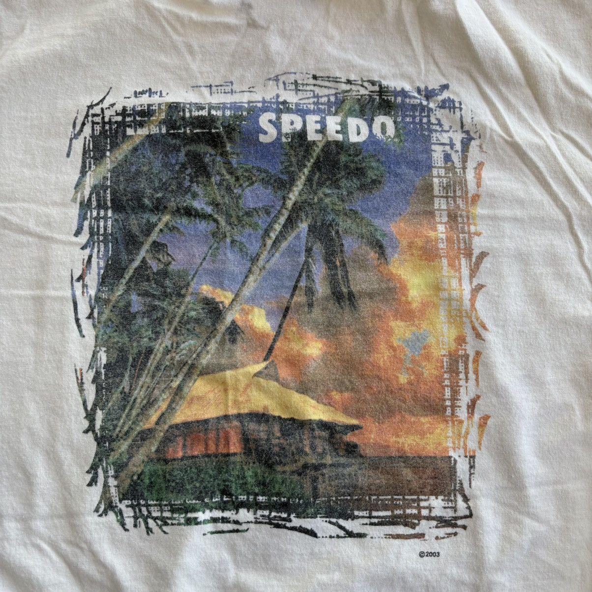 Billabong × Quiksilver × Speedo Vintage 2003 Speedo Y2K Surf Tee Cream Billabong Style XL Size US XL / EU 56 / 4 - 8 Thumbnail