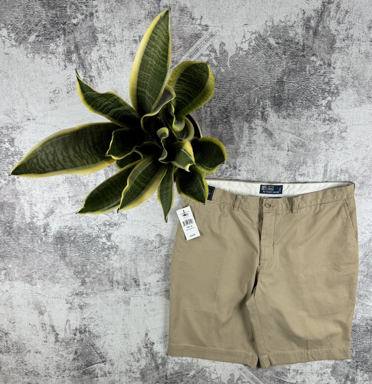Polo Ralph Lauren NEW Polo Ralph Lauren Chino Shorts 36 Tan Relaxed Fit Basic Size US 36 / EU 52 - 2 Thumbnail