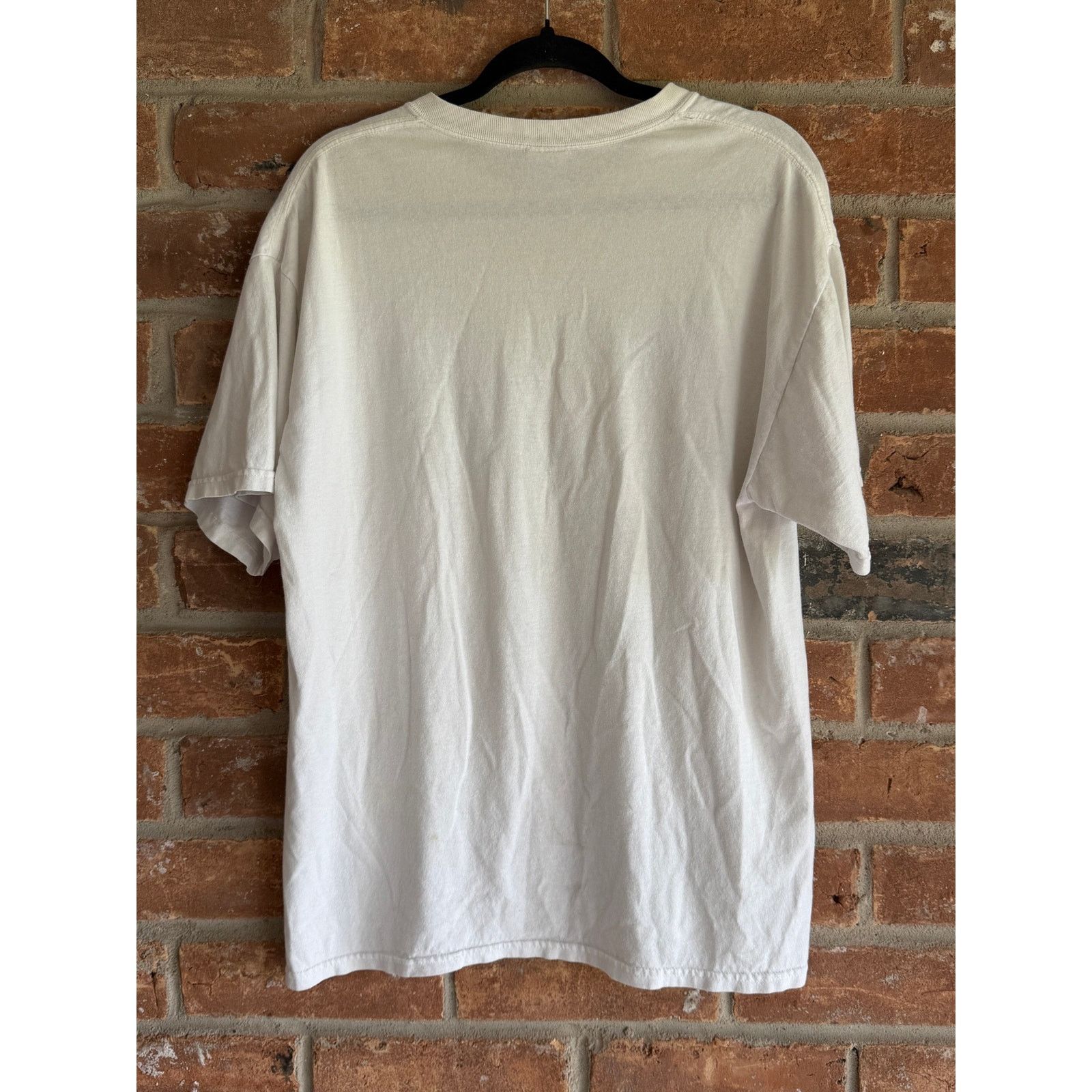 Gildan 2011 Colonial Beach Disaster Graphic Tee Large Size US L / EU 52-54 / 3 - 3 Thumbnail