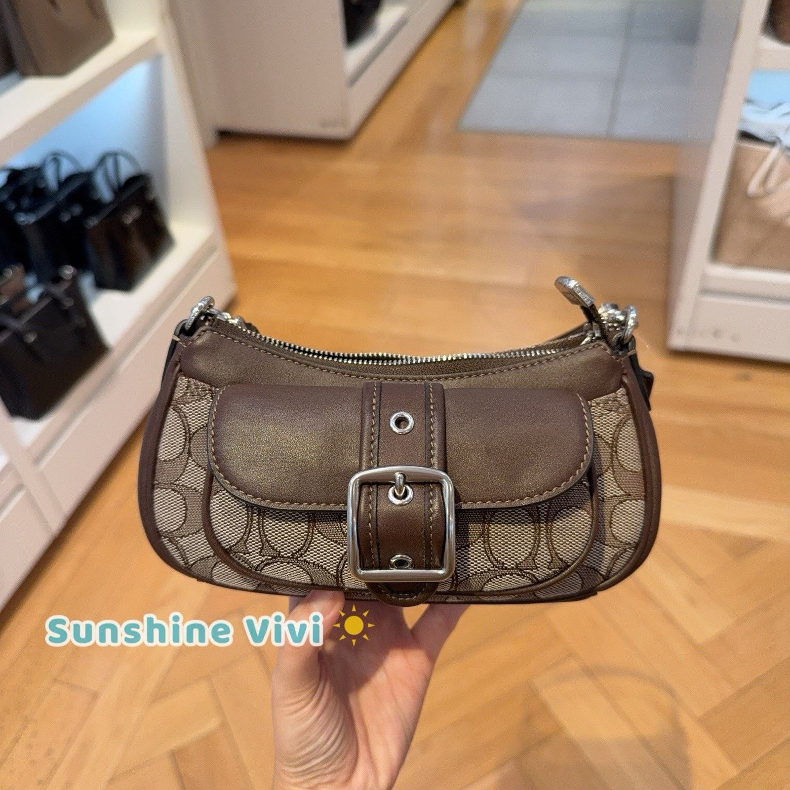 Coach NWT COACH CDB18 Ashton Mini Shoulder Bag Silver/Oak/Maple Size ONE SIZE - 1 Thumbnail
