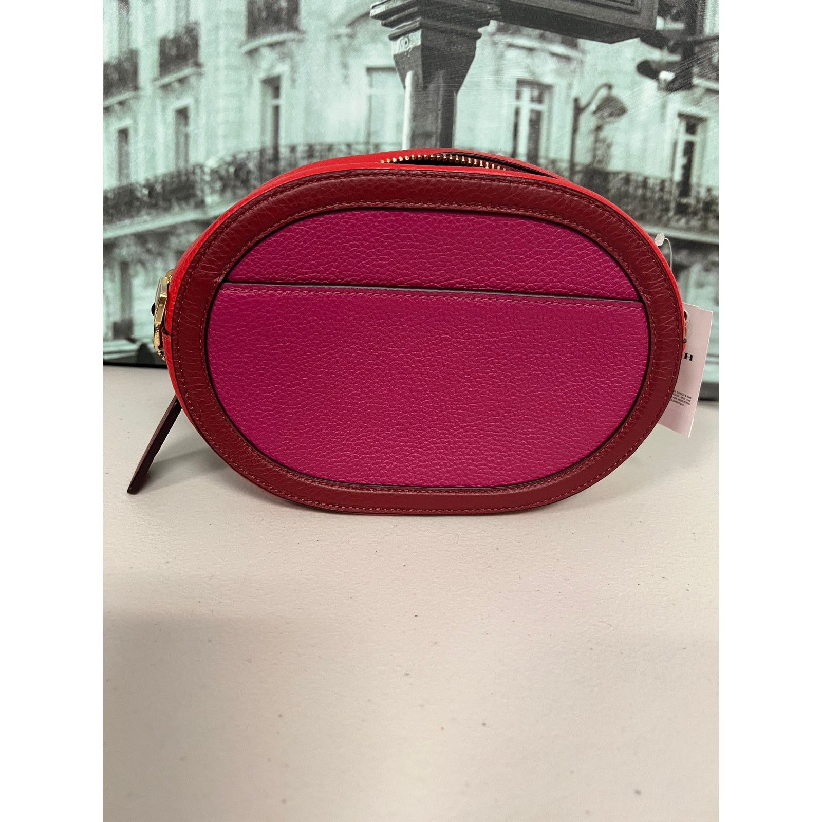Coach Coach C5777 Camera Bag In Colorblock With Horse And Carriage Size ONE SIZE - 2 Thumbnail