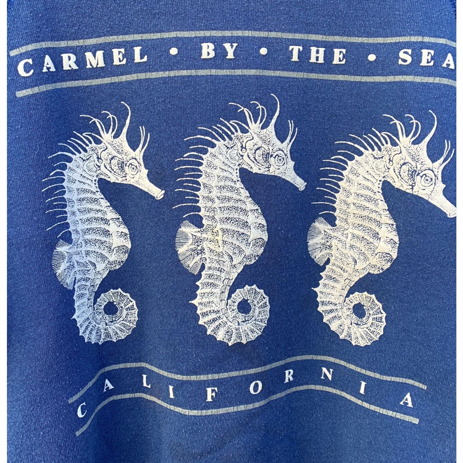 Vintage VINTAGE Bassett-Walker seahorse graphics Raglan Sweatshirt XL Men Blue Graphic Print Raglan Seahorse California Pacific Coast Seaside 90s? Size US XL / EU 56 / 4 - 4 Thumbnail