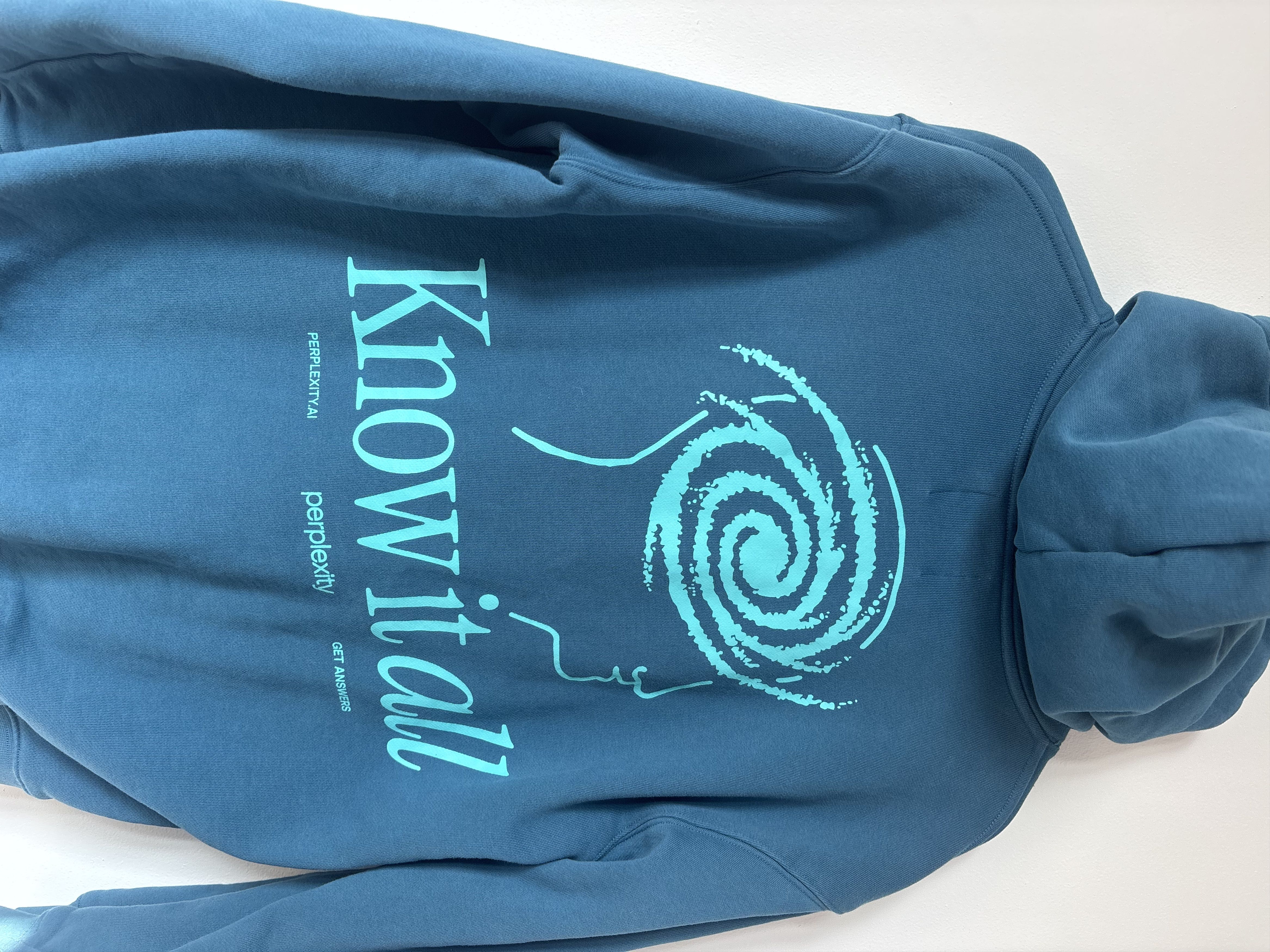 Other Perplexity AI Know It All Hoodie Rare AI Merch Teal Large | Grailed