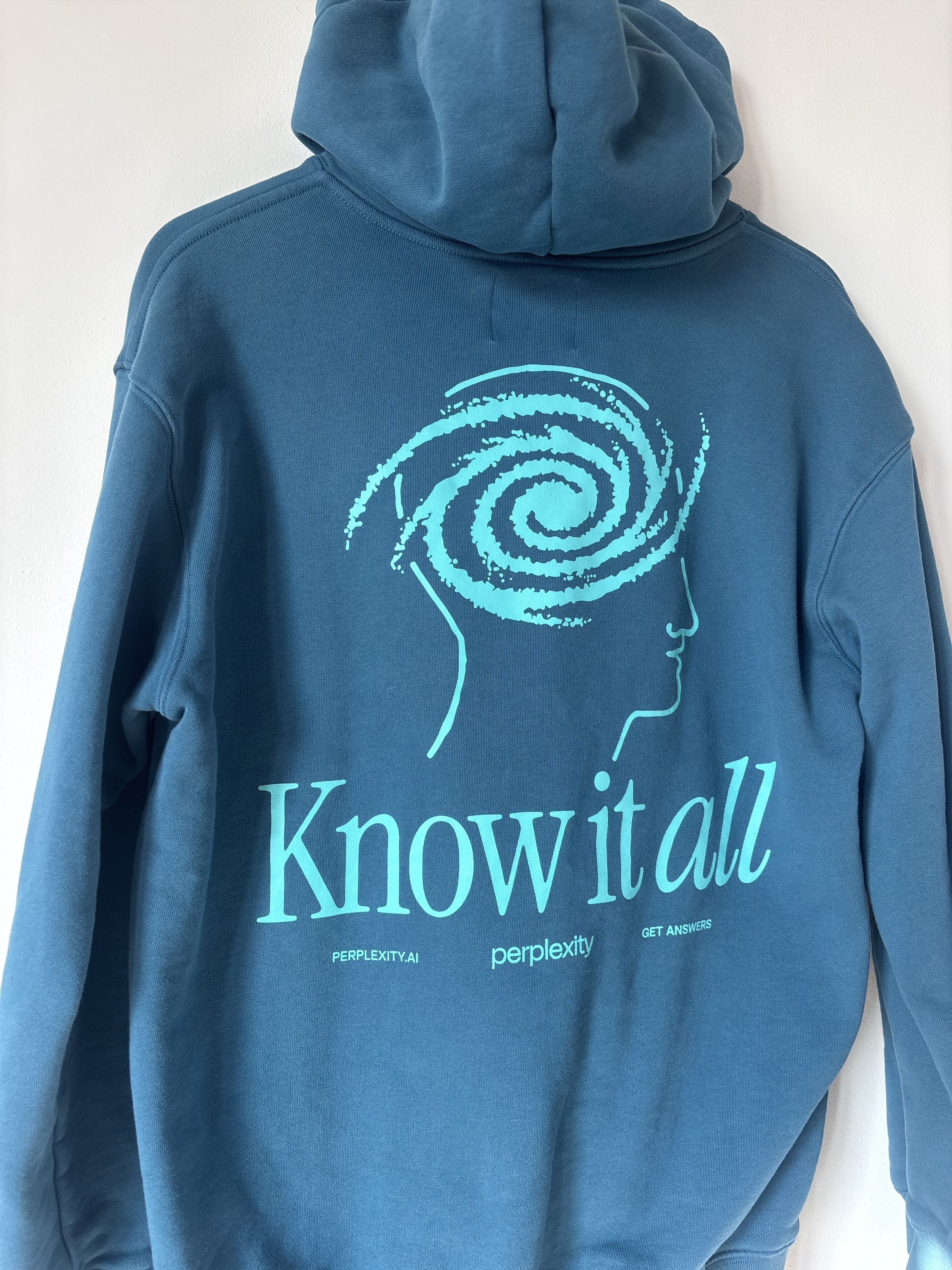 Other Perplexity AI Know It All Hoodie Rare AI Merch Teal Large Size US L / EU 52-54 / 3 - 1 Thumbnail
