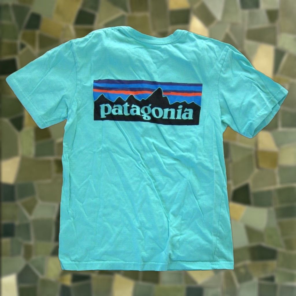 Patagonia VINTAGE Patagonia T-Shirt Men XS 100% Cotton Teal Blue Mountain Crew Neck 90s Shirt Mens XS Blue Size US XS / EU 42 / 0 - 1 Thumbnail