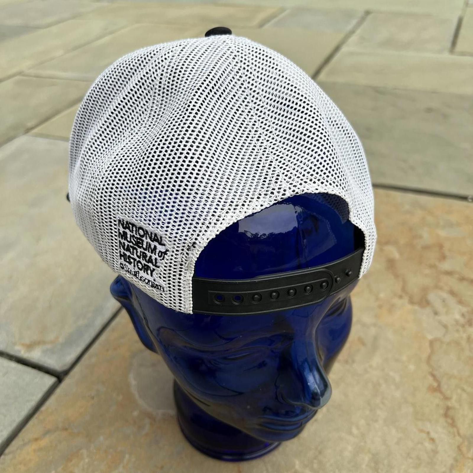 The Mountain T-Rex Dinosaurs Mesh Trucker Hat Size ONE SIZE - 4 Thumbnail