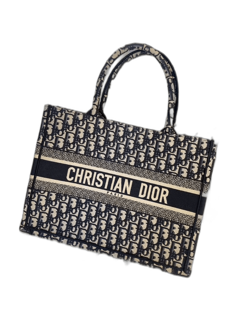 Christian Dior Tote Bag Medium Size in Blue, Men's