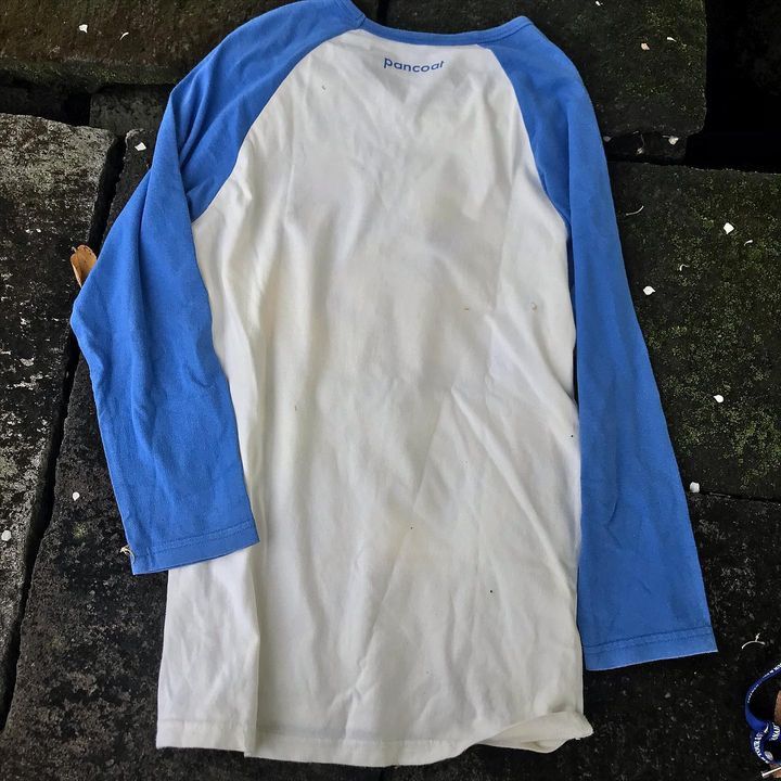 Pancoat Pancoat Sweatshirt Two Tone Colour Way Raglan Sleeves M Size US L / EU 52-54 / 3 - 3 Thumbnail