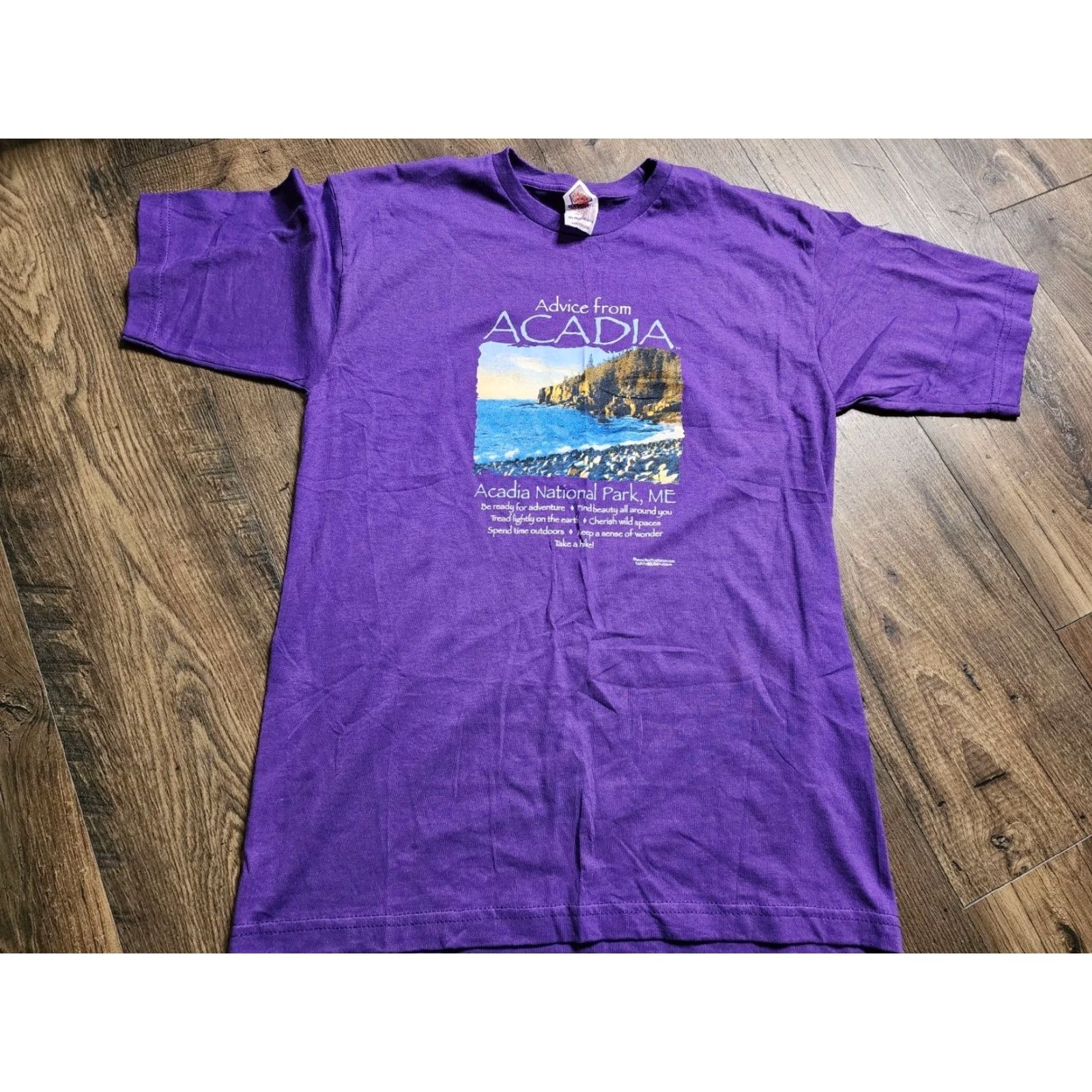 Vintage Bayside Men's Acadia National Park Hiking T-Shirt M Purple Cotton USA Size US M / EU 48-50 / 2 - 2 Thumbnail