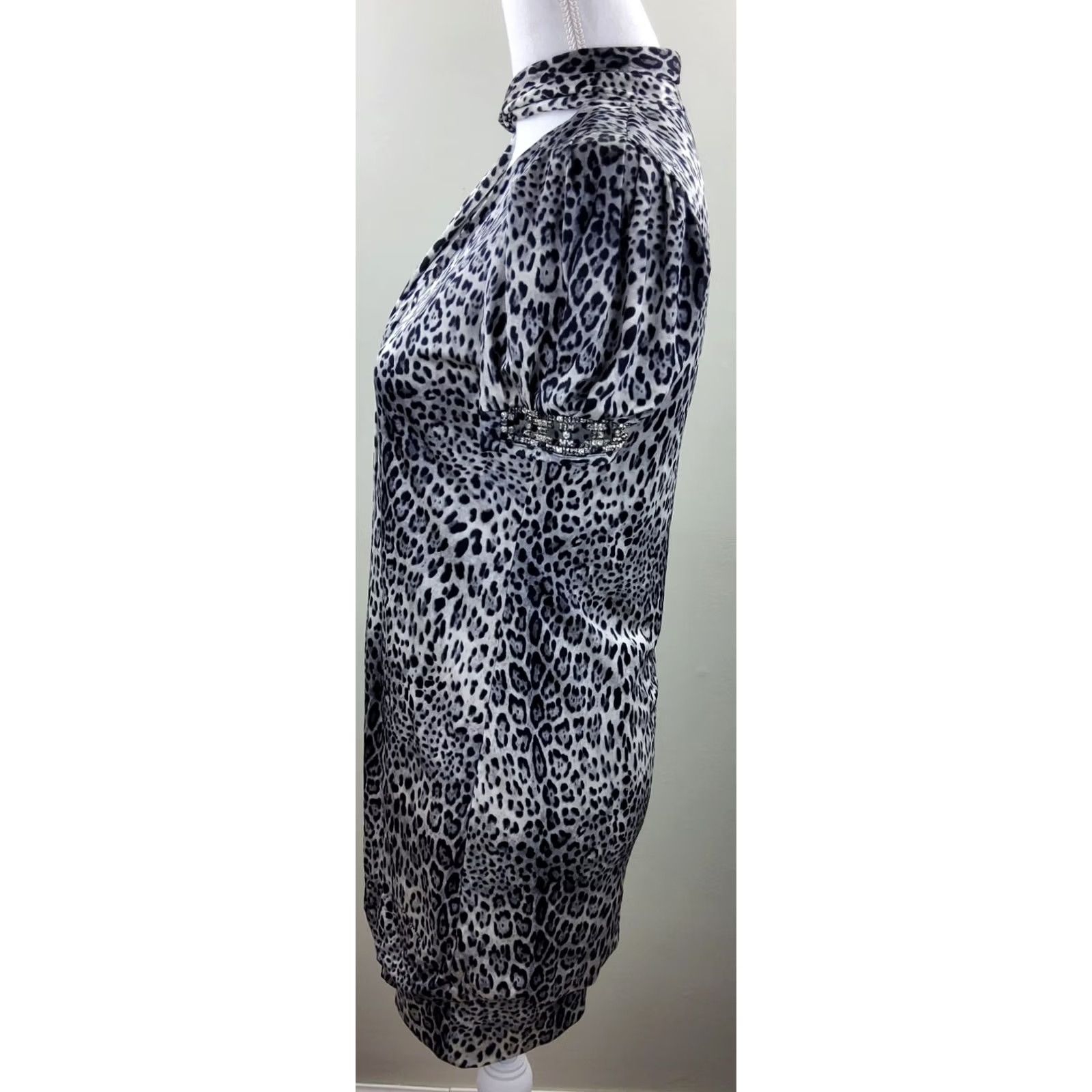 Roberto Cavalli Roberto Cavalli Class Jaguar Print 100% Silk Rhinestone Sleeve Dress Size 40 Multicolor Short V-Neck Womens Night? Size S / US 4 / IT 40 - 4 Thumbnail