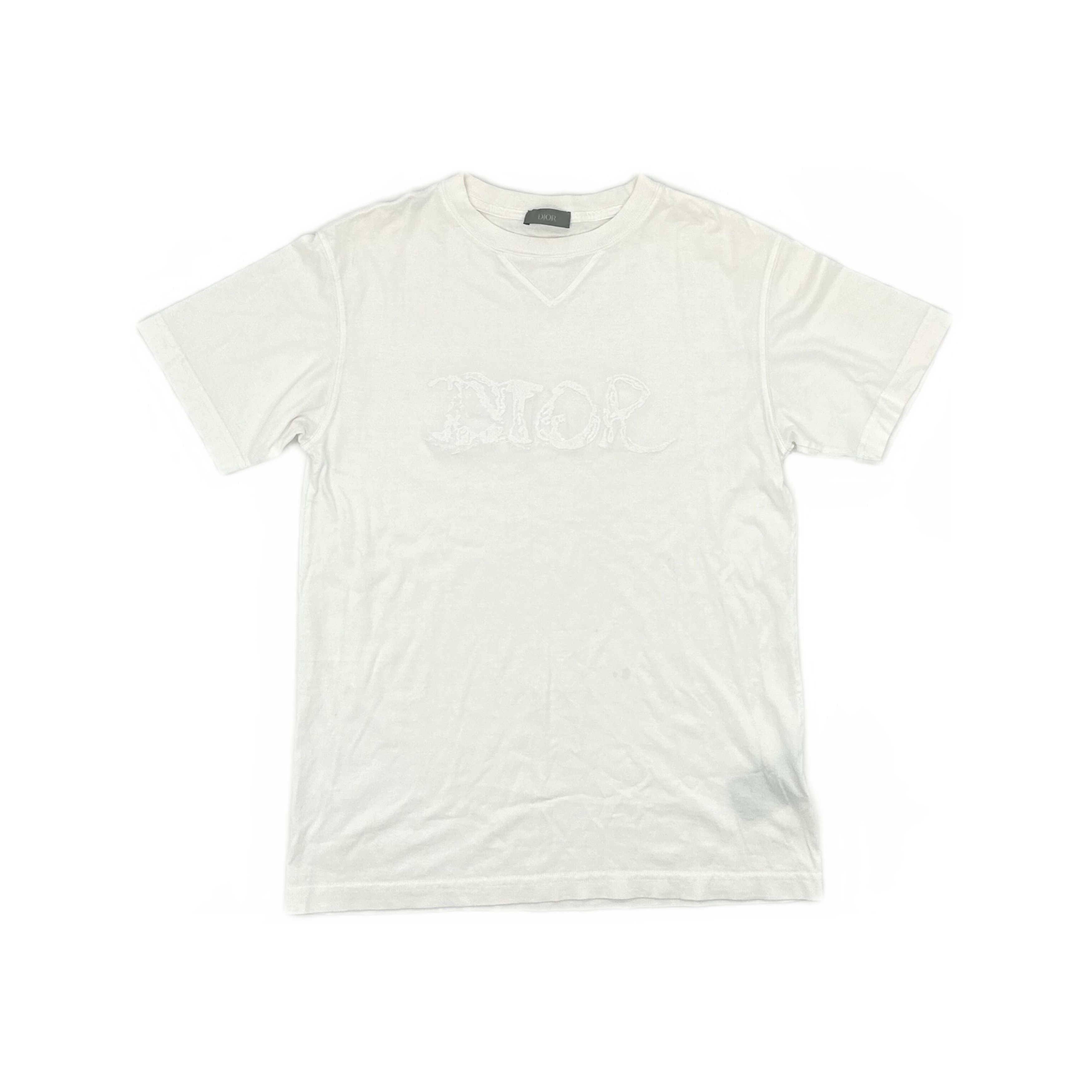 Dior Dior Peter Doig Lion Embroidery T-Shirt | Grailed