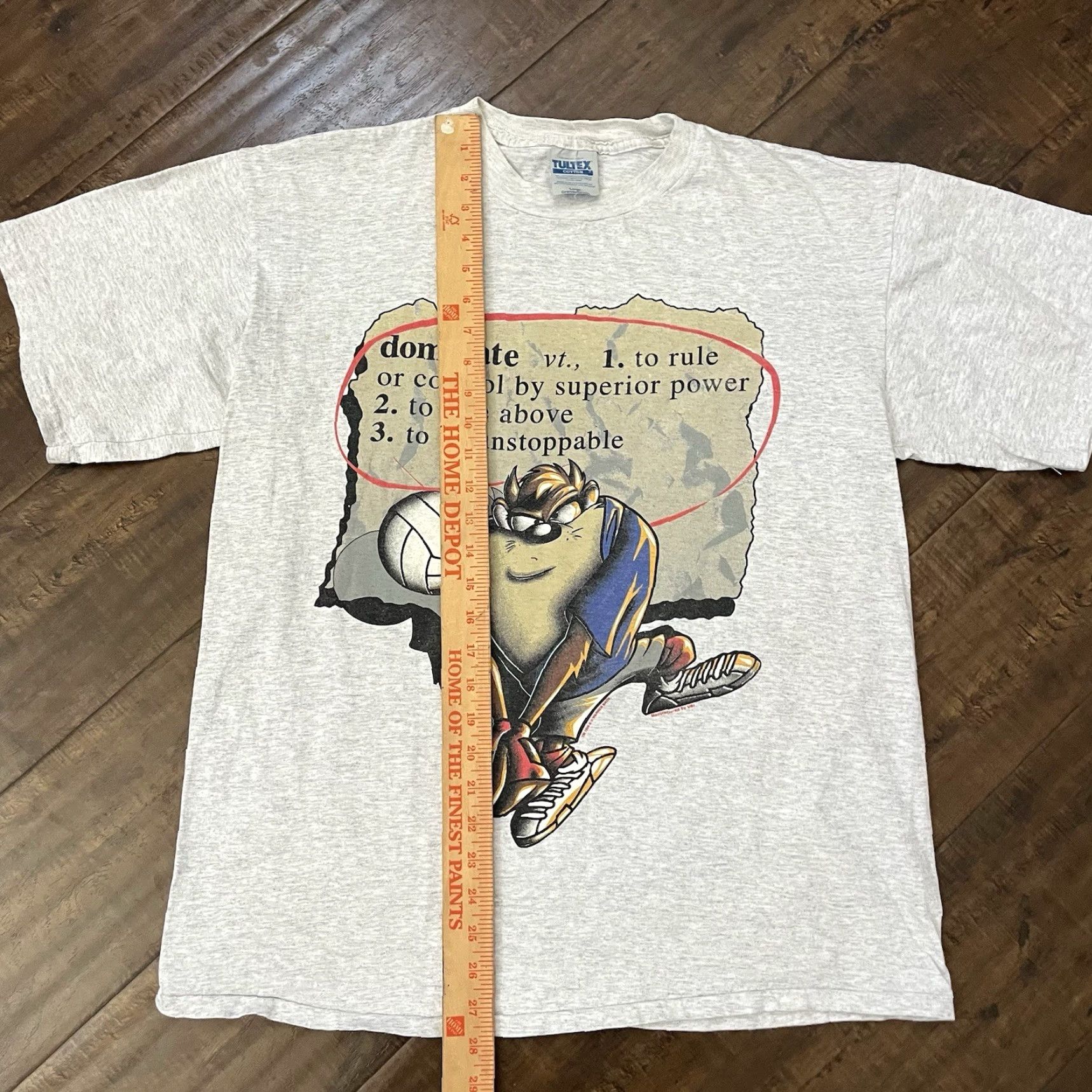 VINTAGE Looney Tunes Taz Power Slam Volleyball T-Shirt Men Large Short Sleeve Gray 90s