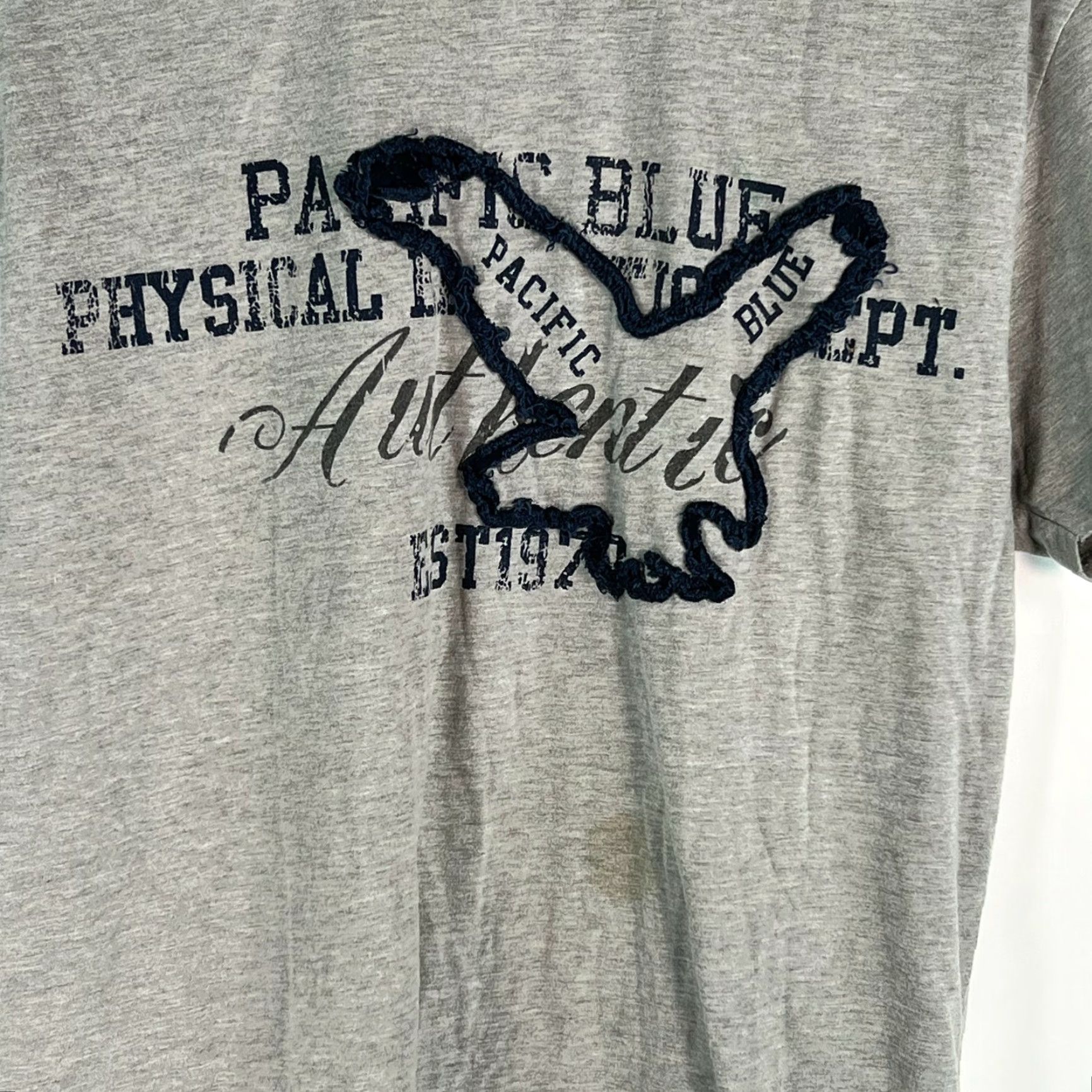 Vintage VINTAGE Pacific Blue T Shirt Mens Graphic Short Sleeve Crew Neck Size L Gray Size US L / EU 52-54 / 3 - 3 Thumbnail