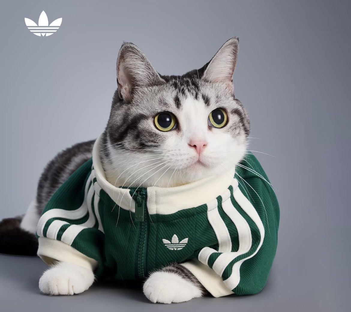 Adidas Adidas Originals Pet Tracksuit Zip-Up Jacket Dogs KU6861 Size ONE SIZE - 4 Thumbnail
