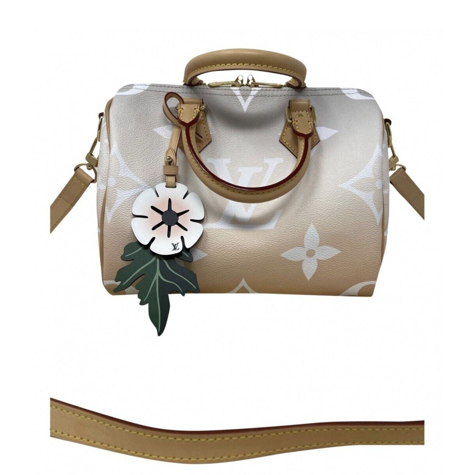 Louis Vuitton Louis Vuitton Speedy 25 Bandouliere By the Pool Mist Color Size ONE SIZE - 12 Thumbnail