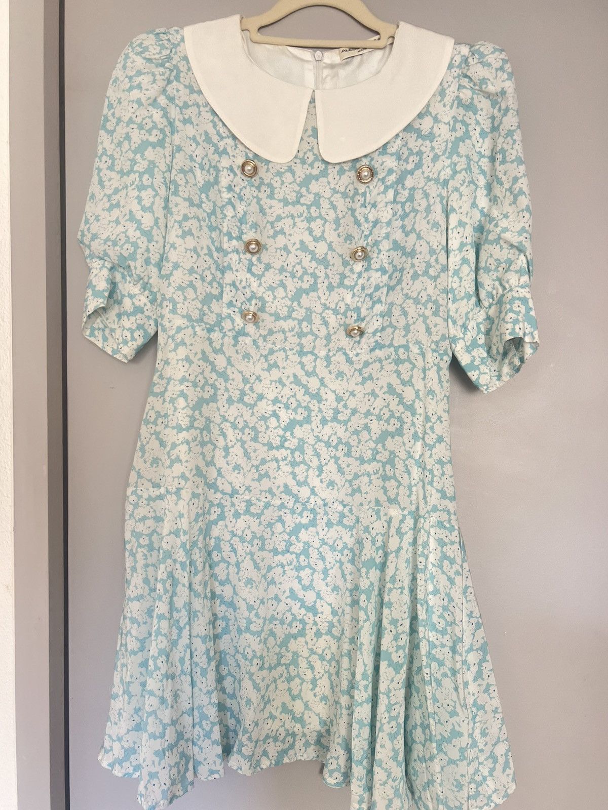 Alessandra Rich Floral Mini Dress Size XS / US 0-2 / IT 36-38 - 4 Thumbnail