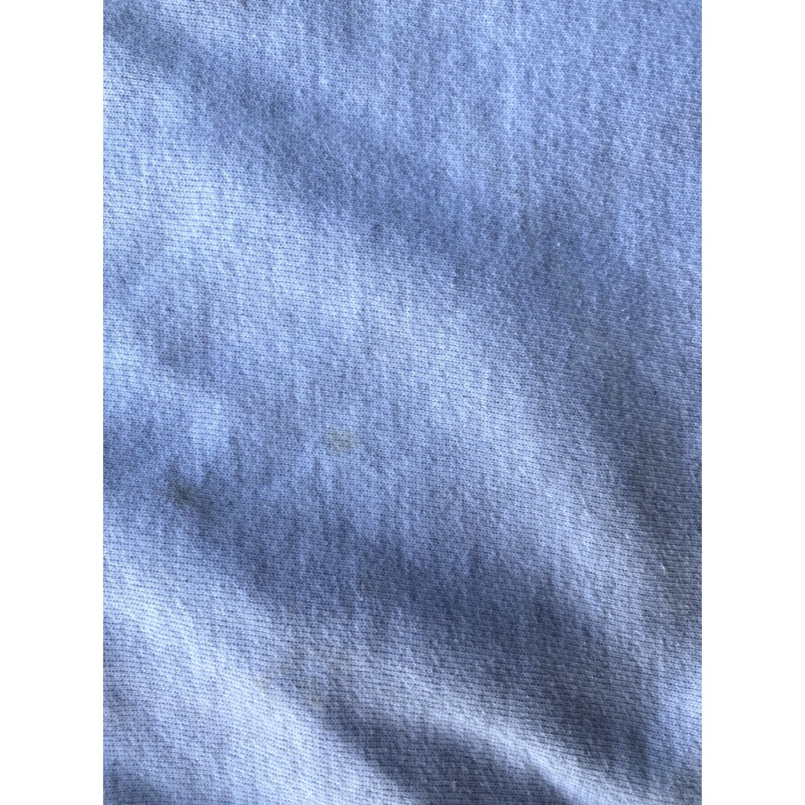 Champion VINTAGE Champion Reverse Weave Salty Dog Sweatshirt Men’s M Gray Size US M / EU 48-50 / 2 - 6 Thumbnail