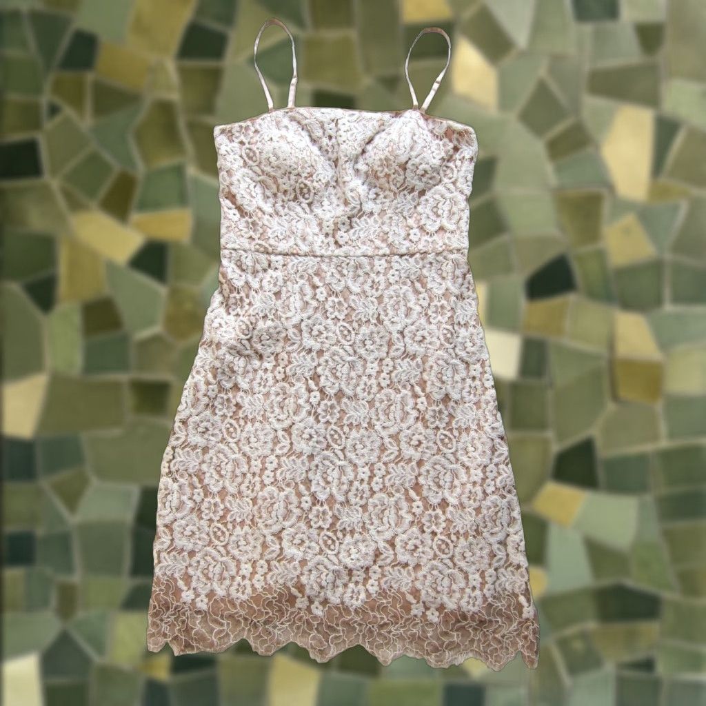 Vintage NWT Eliza J Nordstrom Soft Pink White Lace Spaghetti Strap Sheath Slip Dress 10 Size L / US 10 / IT 46 - 1 Thumbnail