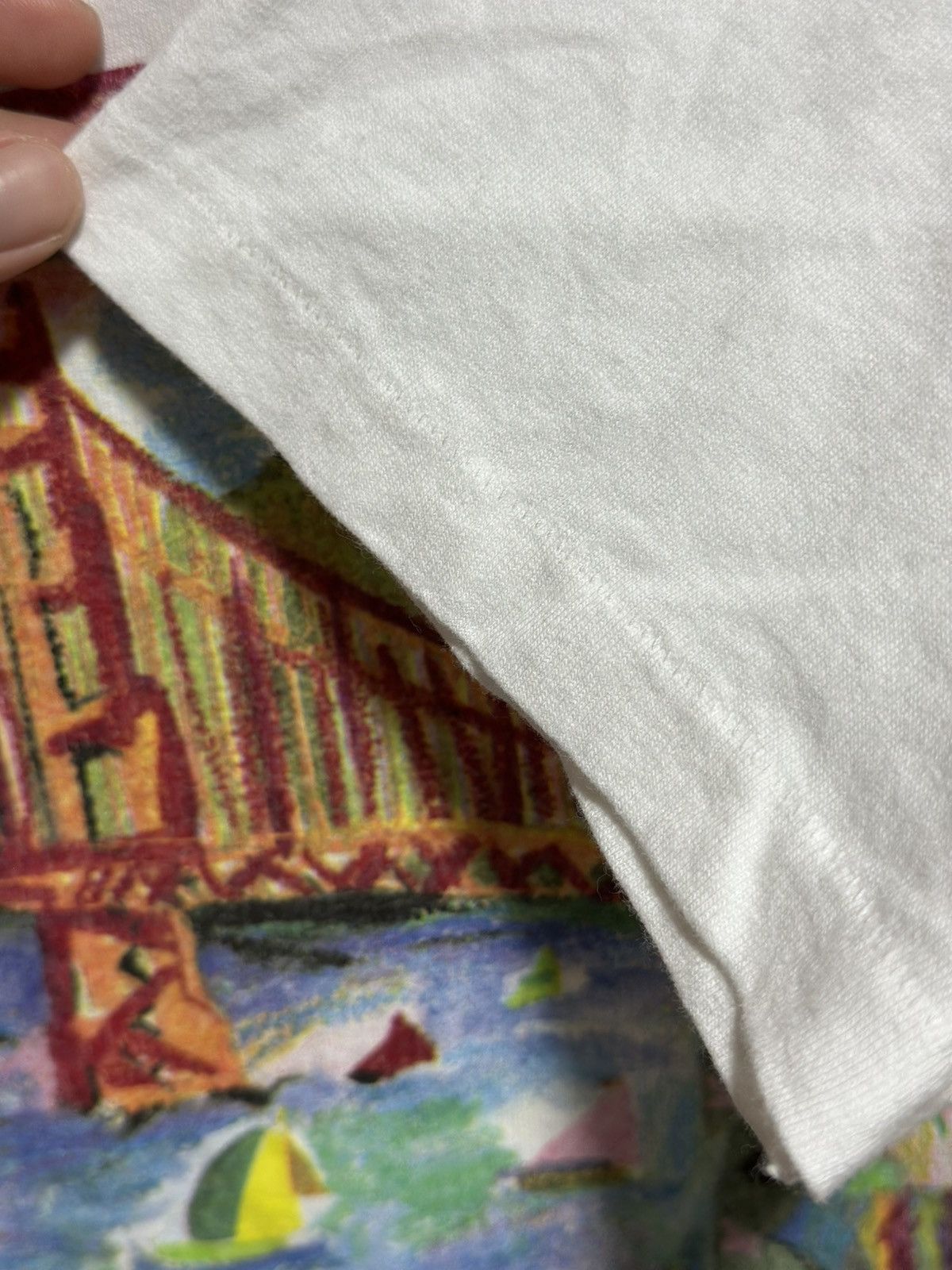 Anvil × Vintage Vintage Sierra Shirt San Francisco Faded Tee Size US M / EU 48-50 / 2 - 6 Thumbnail