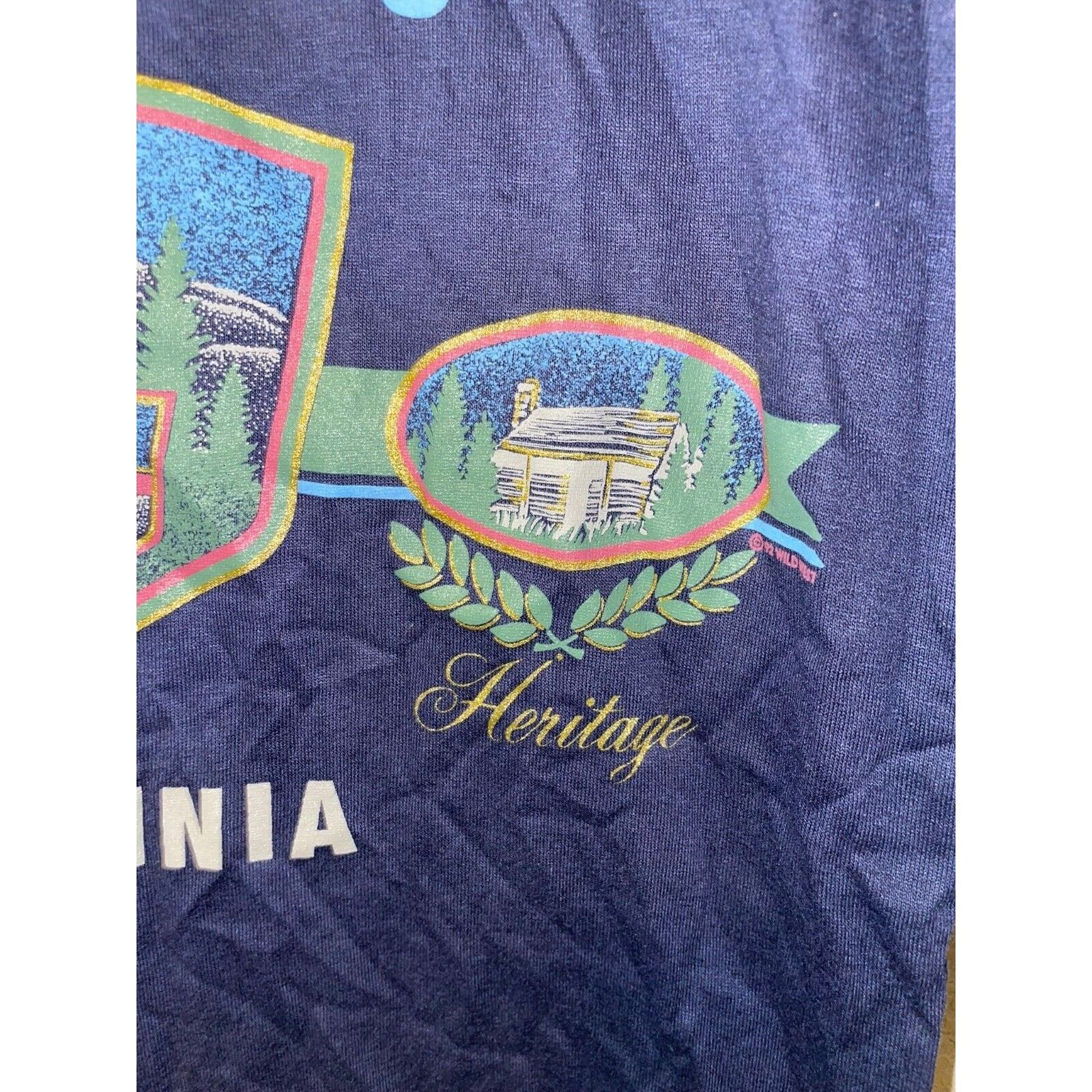 Jerzees Vintage Blue Ridge Mountains Shirt VA Virginia Tee 90s M Size US M / EU 48-50 / 2 - 4 Thumbnail