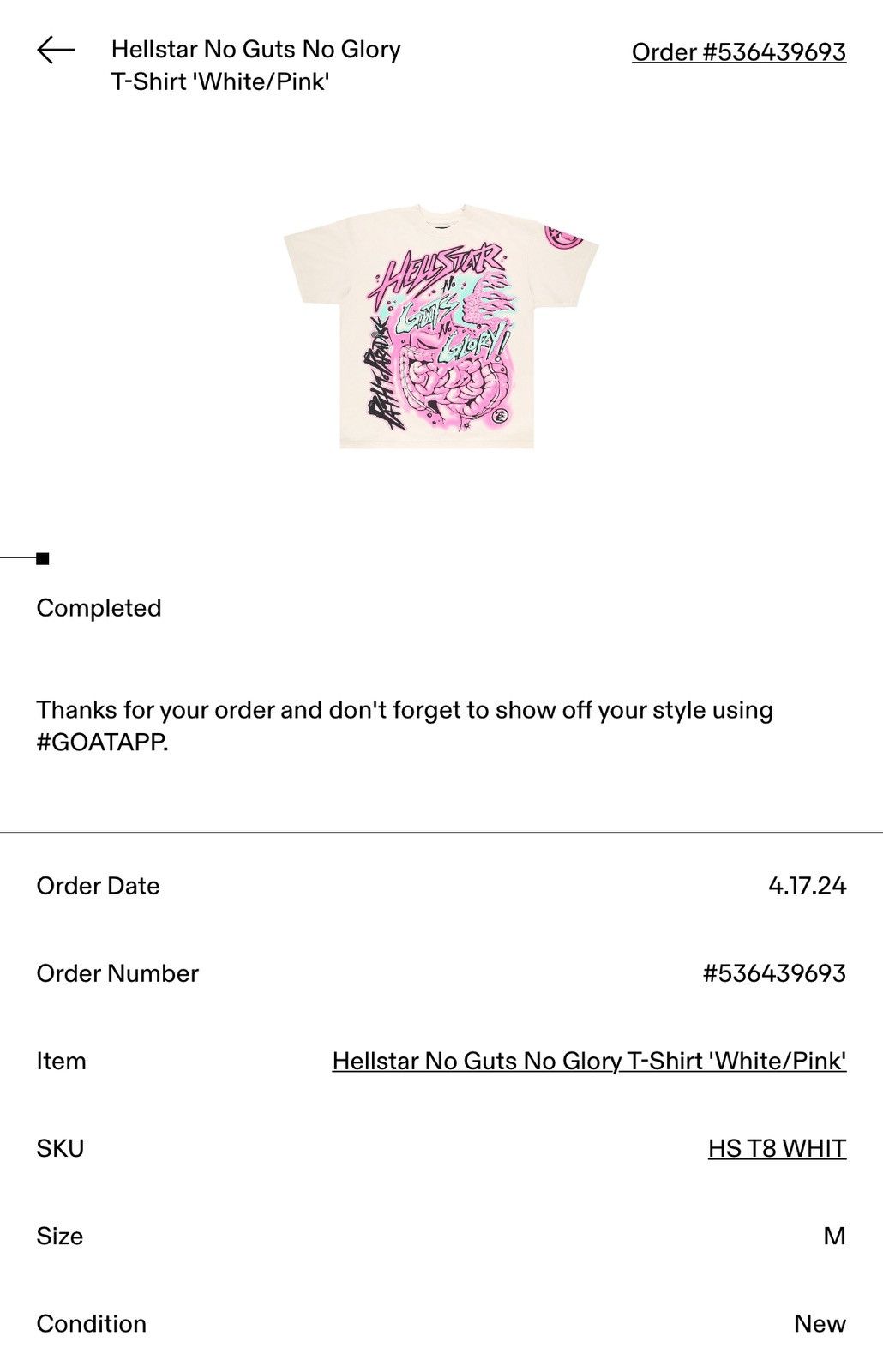 HELLSTAR Hellstar No Guts No Glory Tee Size US M / EU 48-50 / 2 - 8 Thumbnail