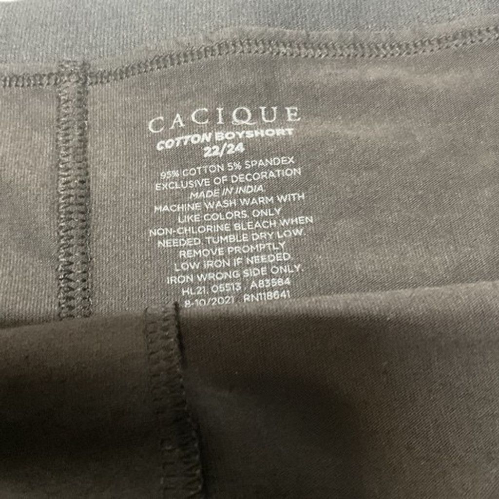 Other NWT Cacique Boyshorts Two Pair Panty Women 18/20 & 22/24 Size ONE SIZE - 3 Thumbnail